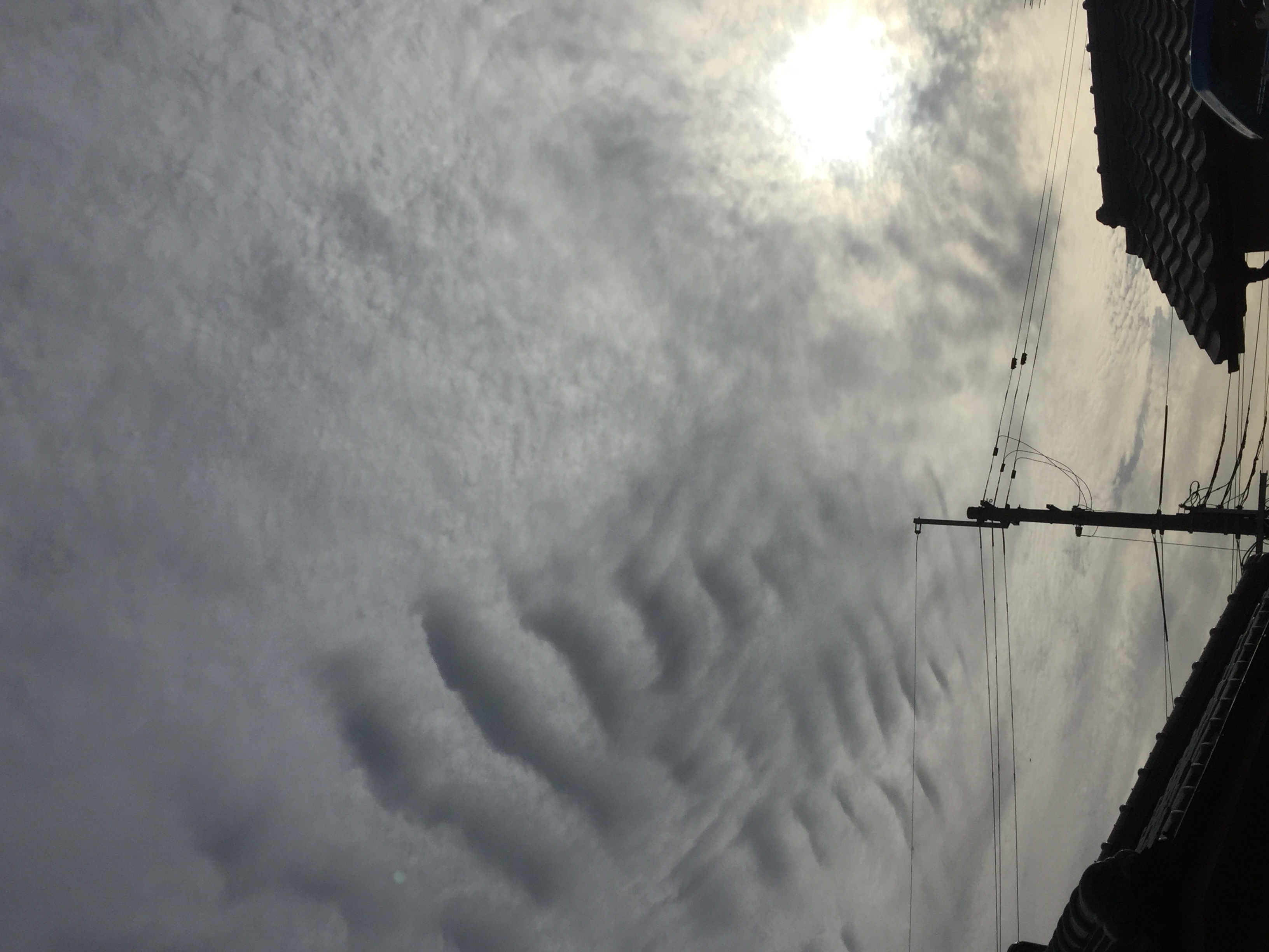 No.29124-1 地震雲