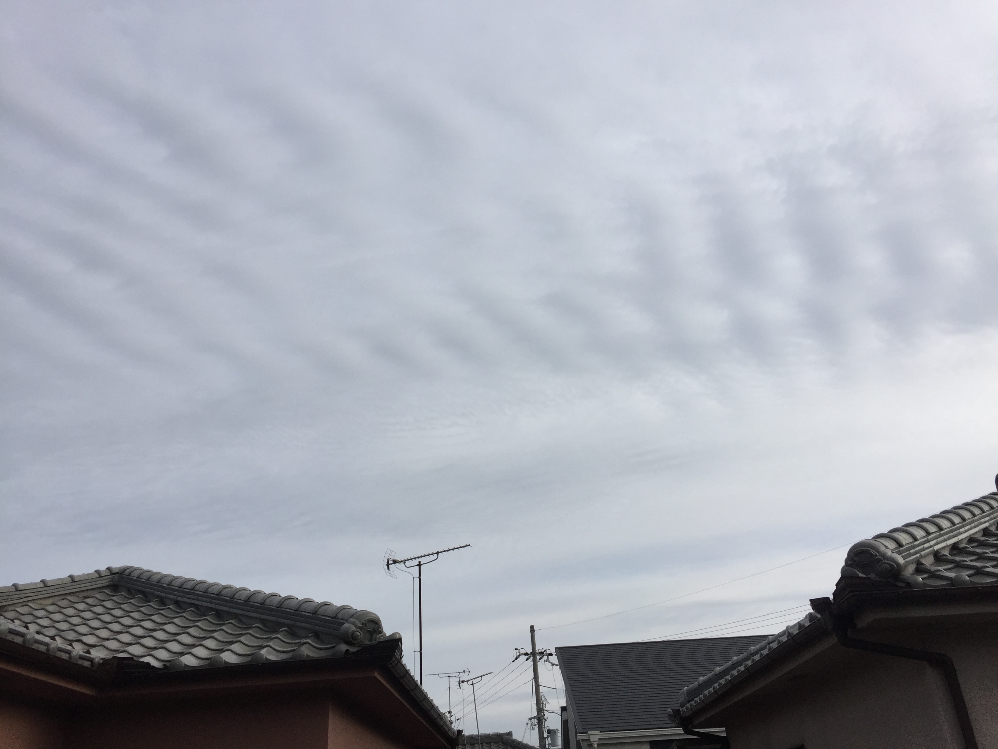 No.29125-1 地震雲