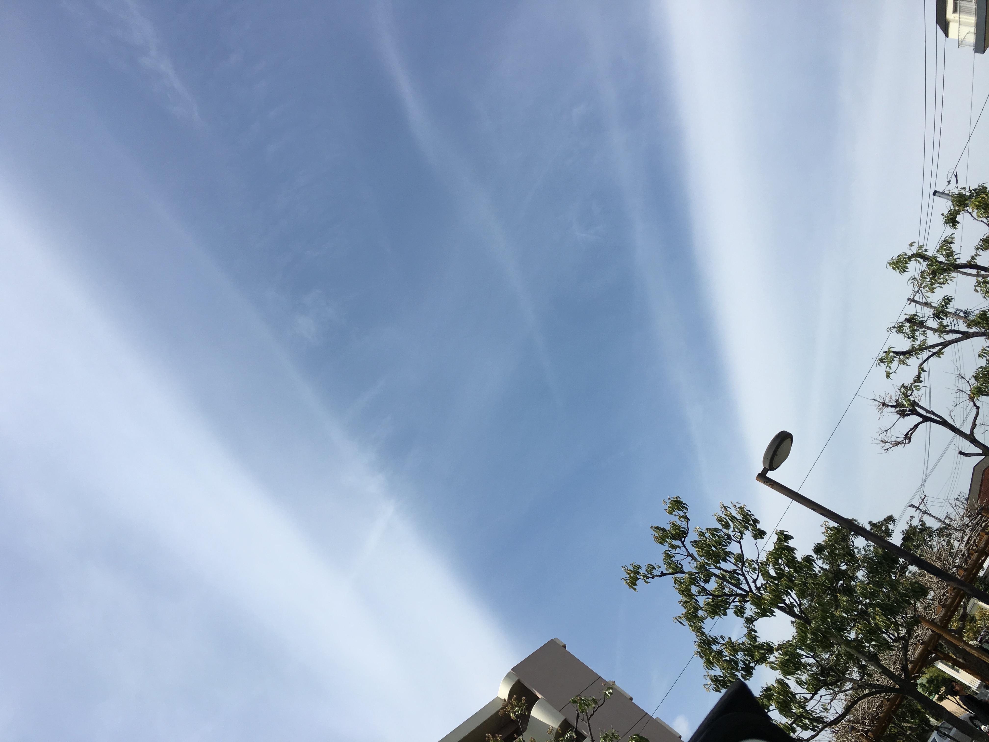 No.29229-1 地震雲