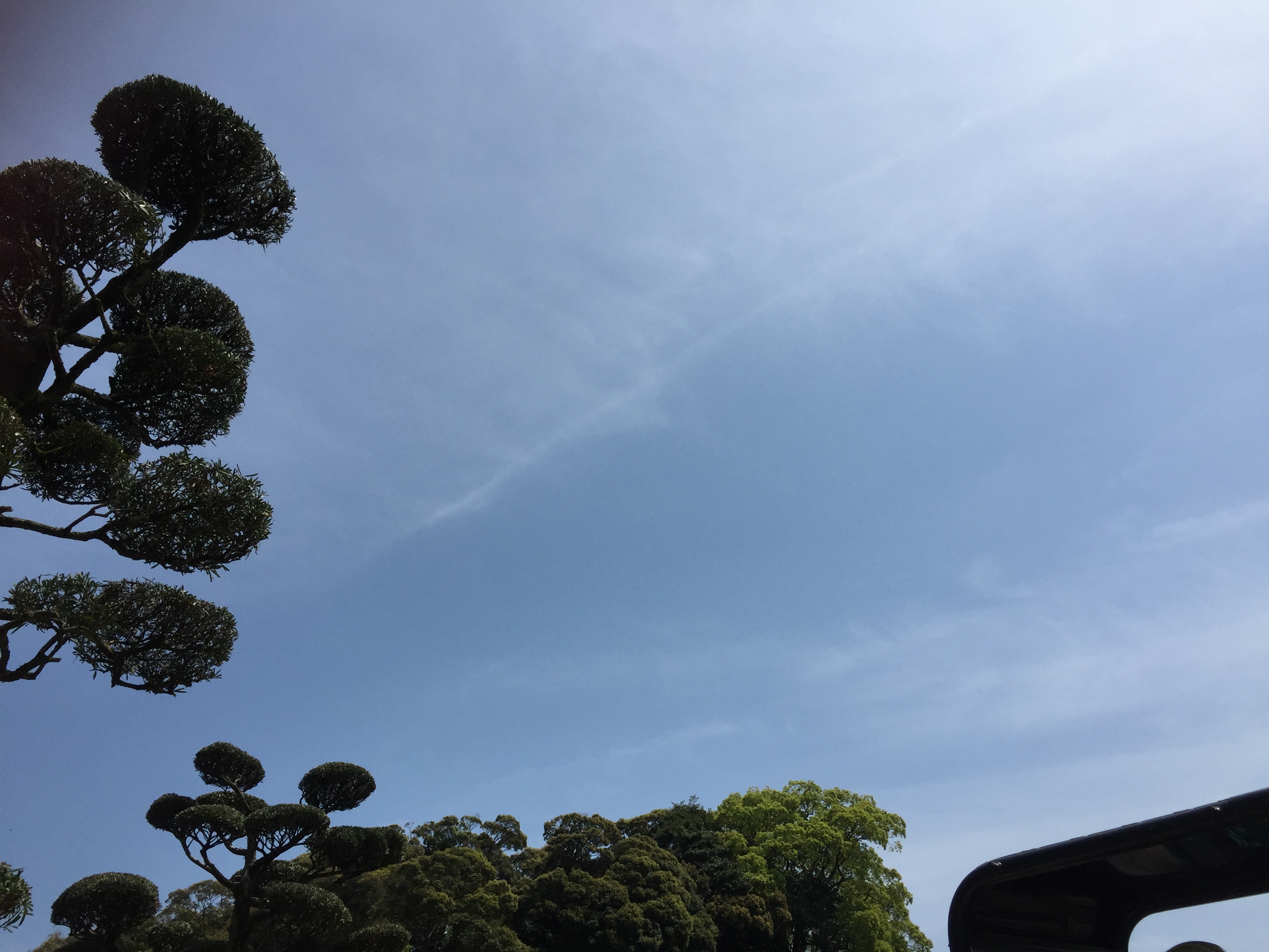 No.29237-1 地震雲