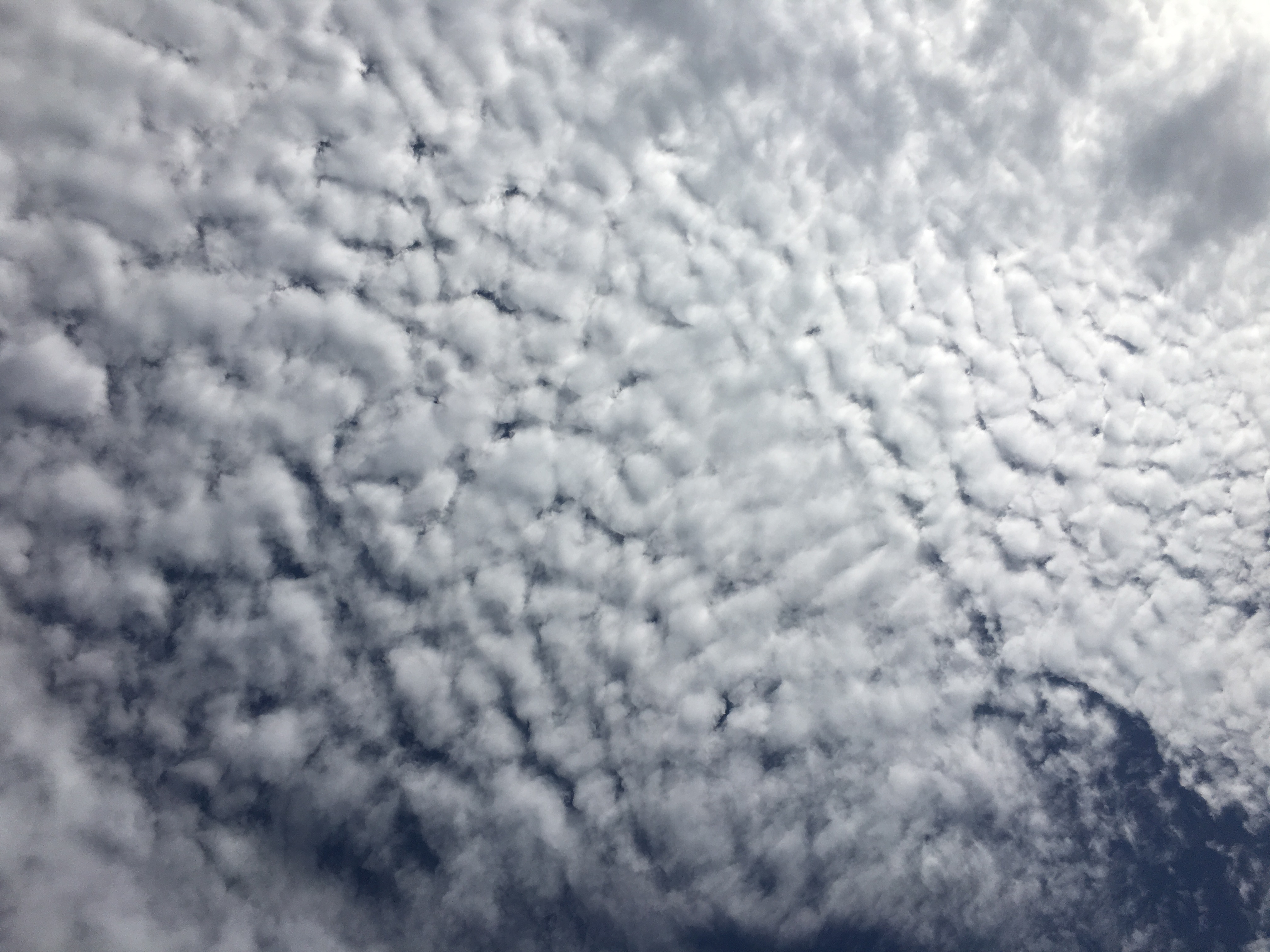 No.29401-1 地震雲