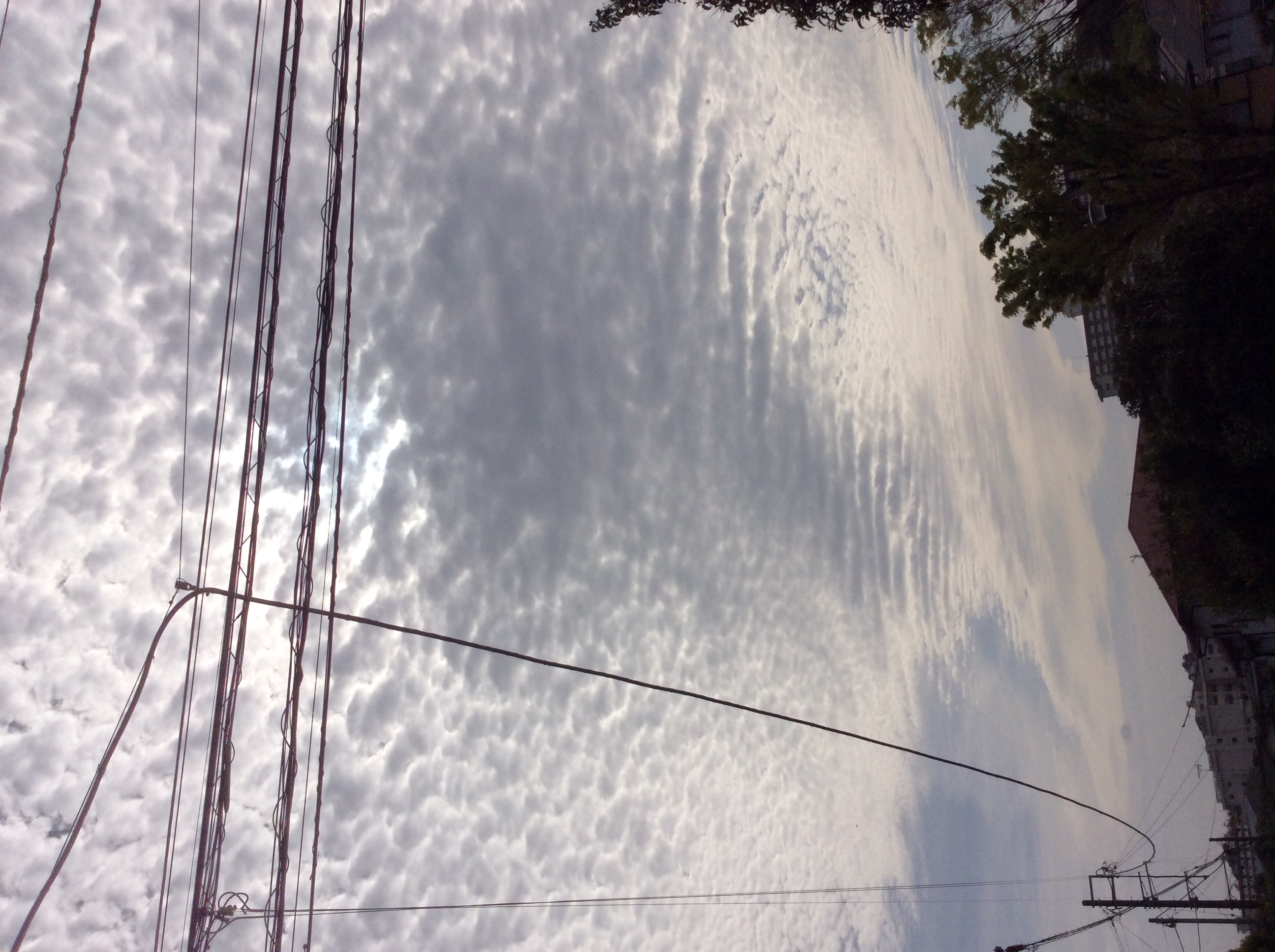 No.29403-1 地震雲