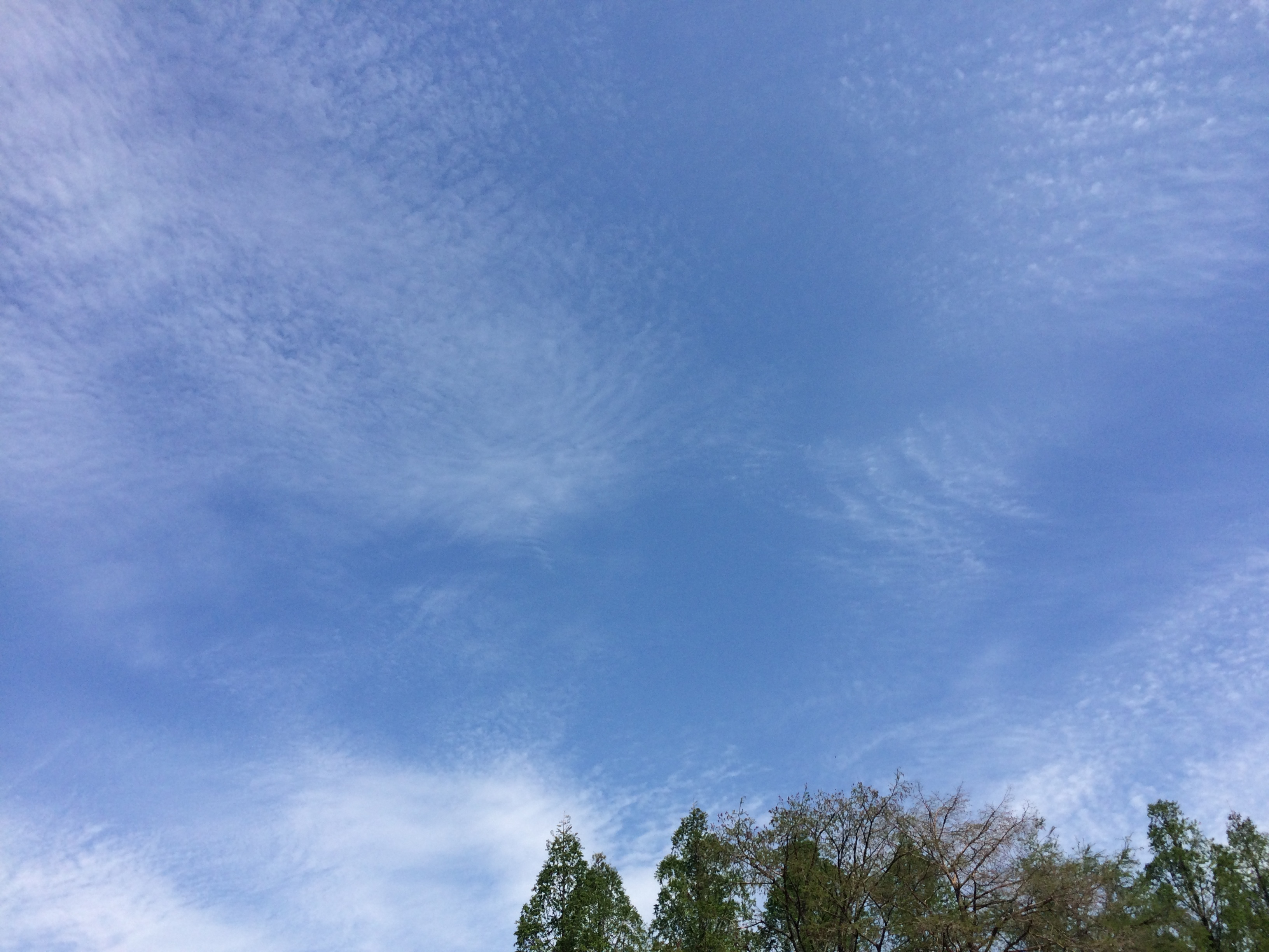 No.29404-1 地震雲