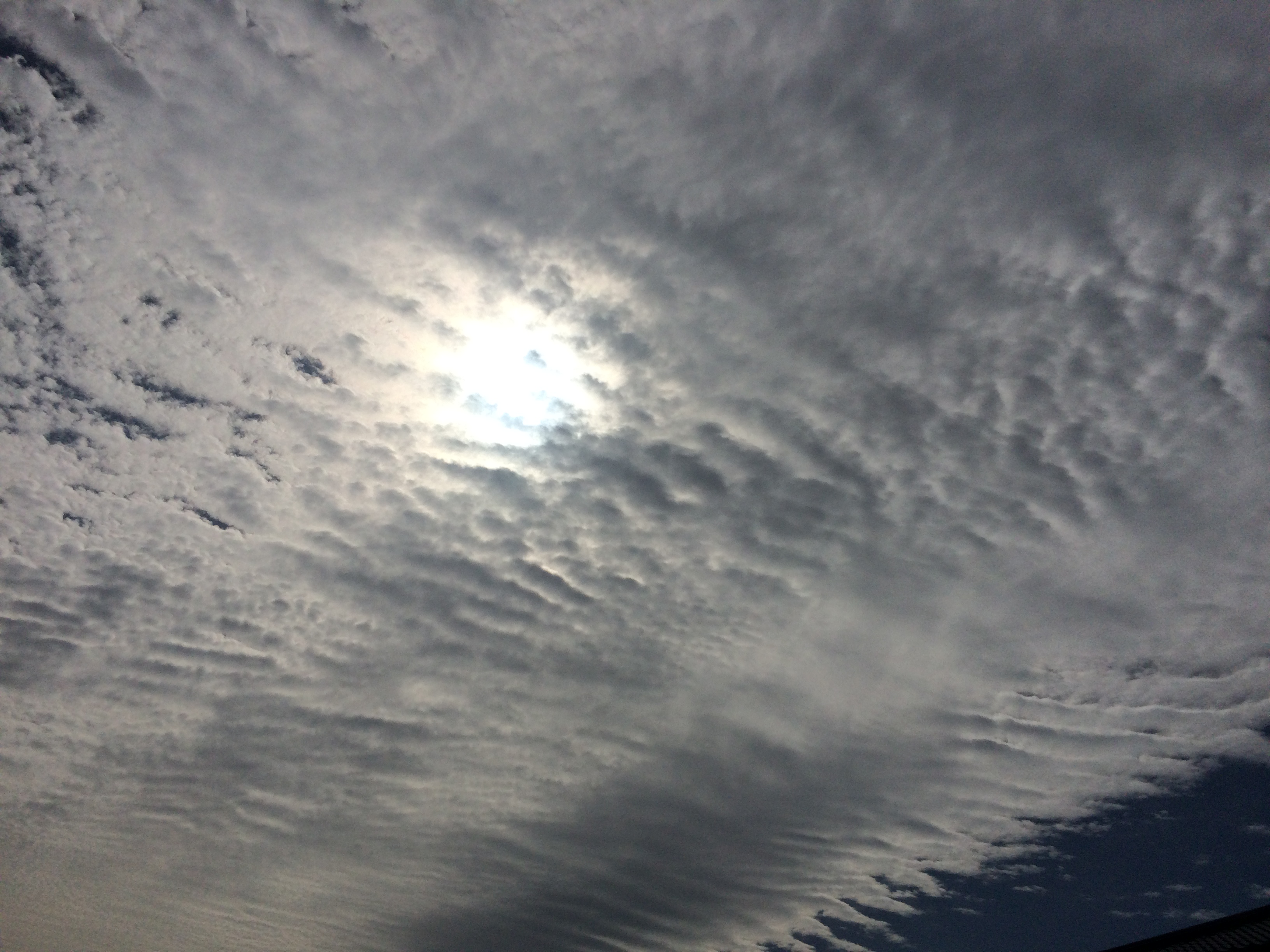 No.29405-1 地震雲