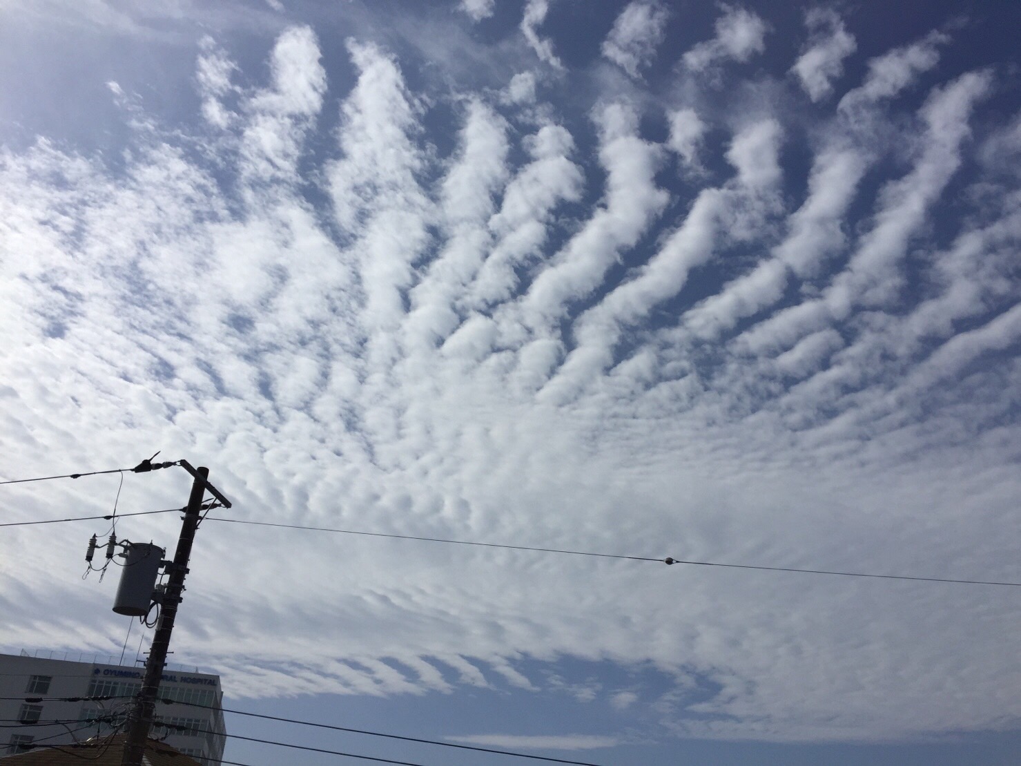 No.29406-1 地震雲