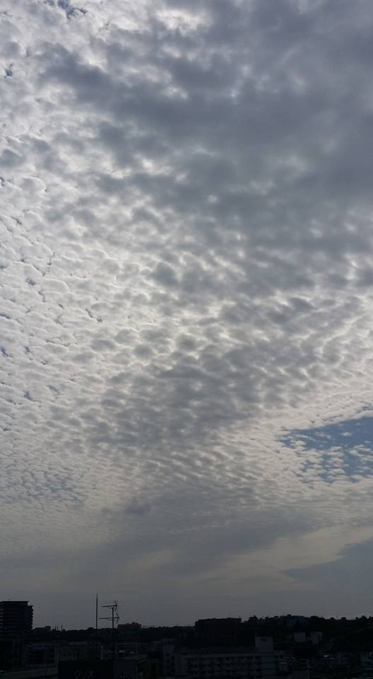 No.29407-1 地震雲