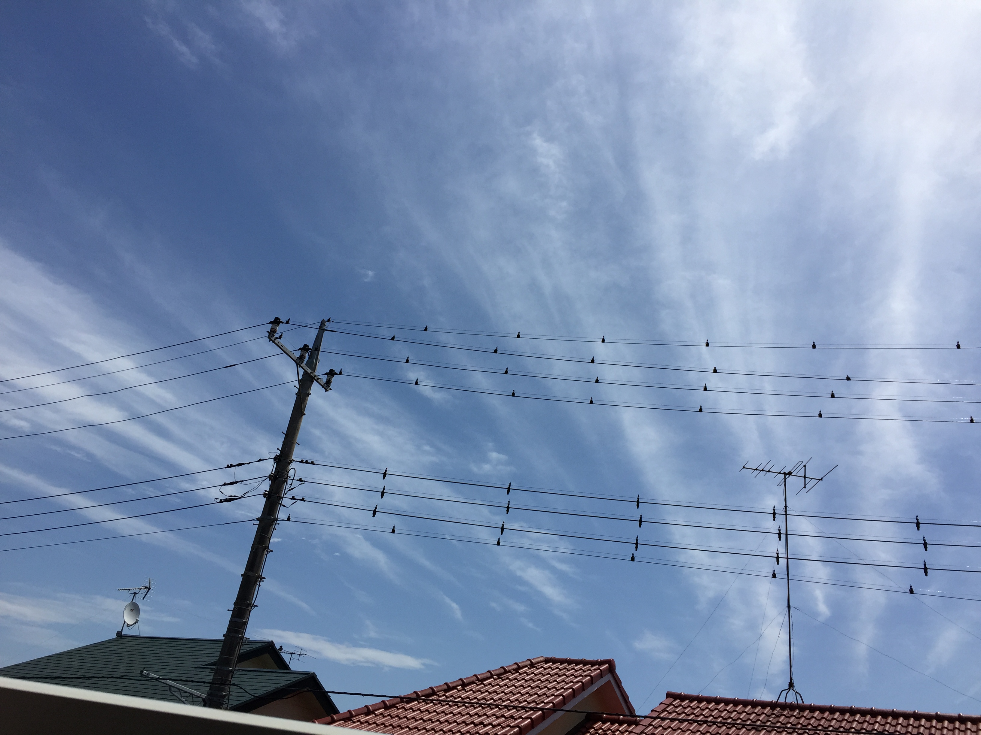 No.29412-1 地震雲