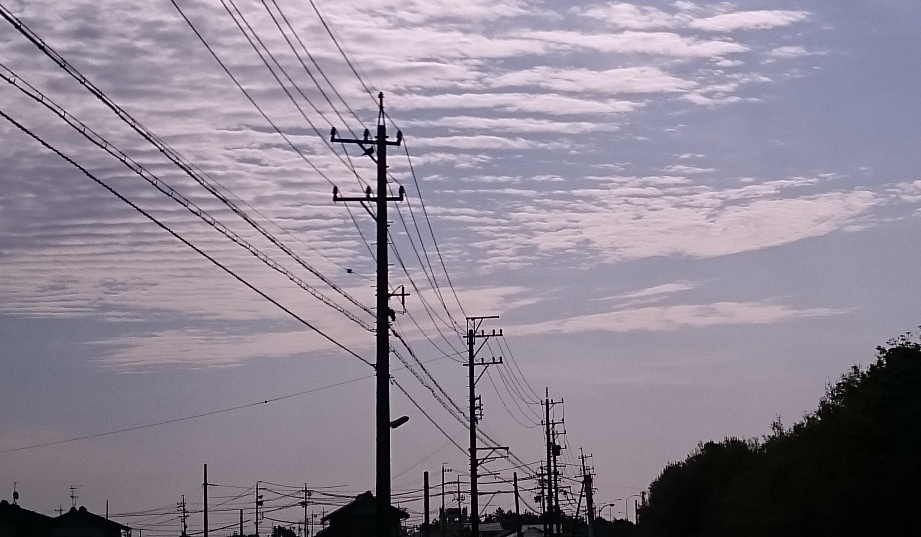 No.29486-1 地震雲