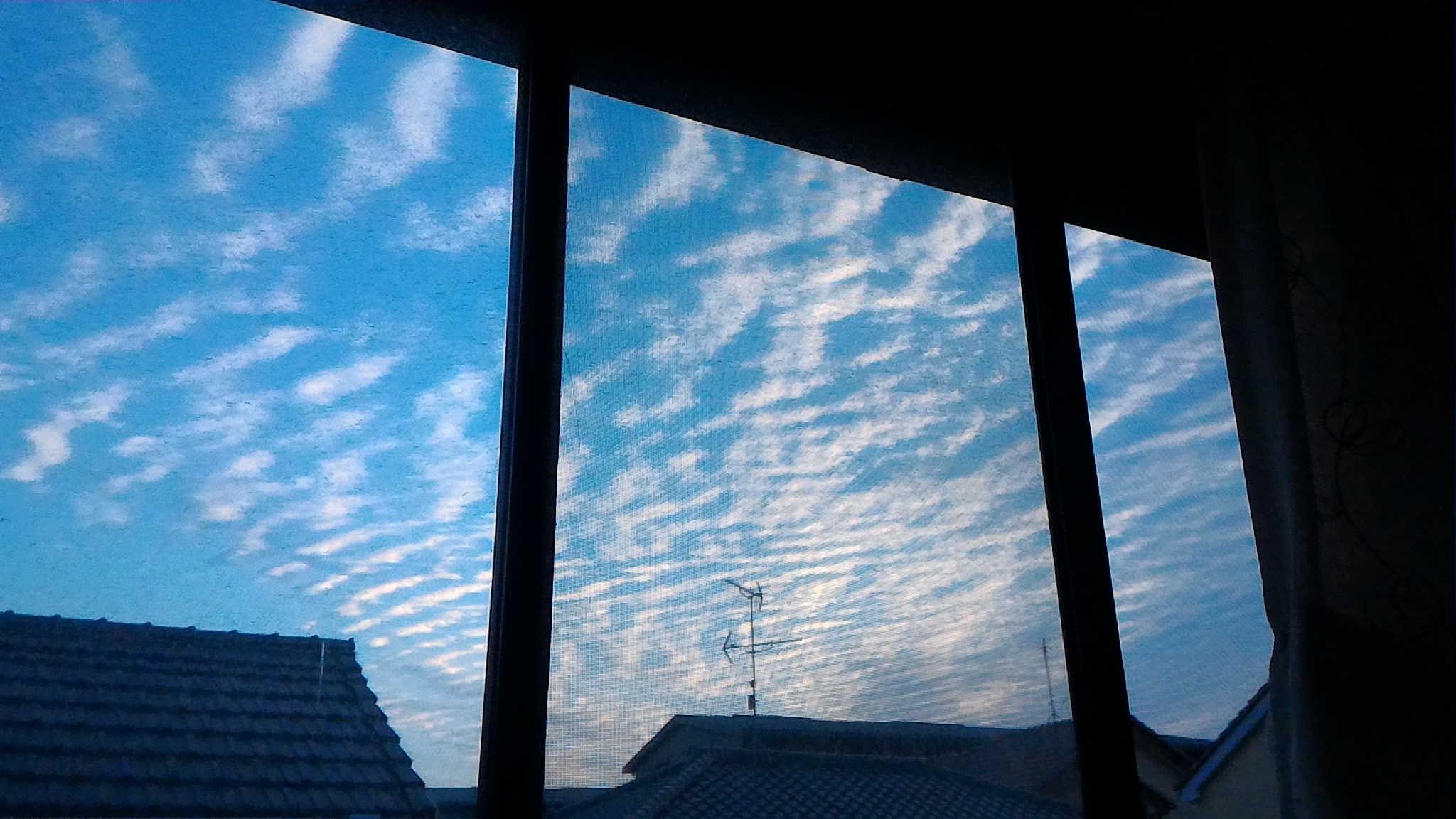 No.29506-1 地震雲