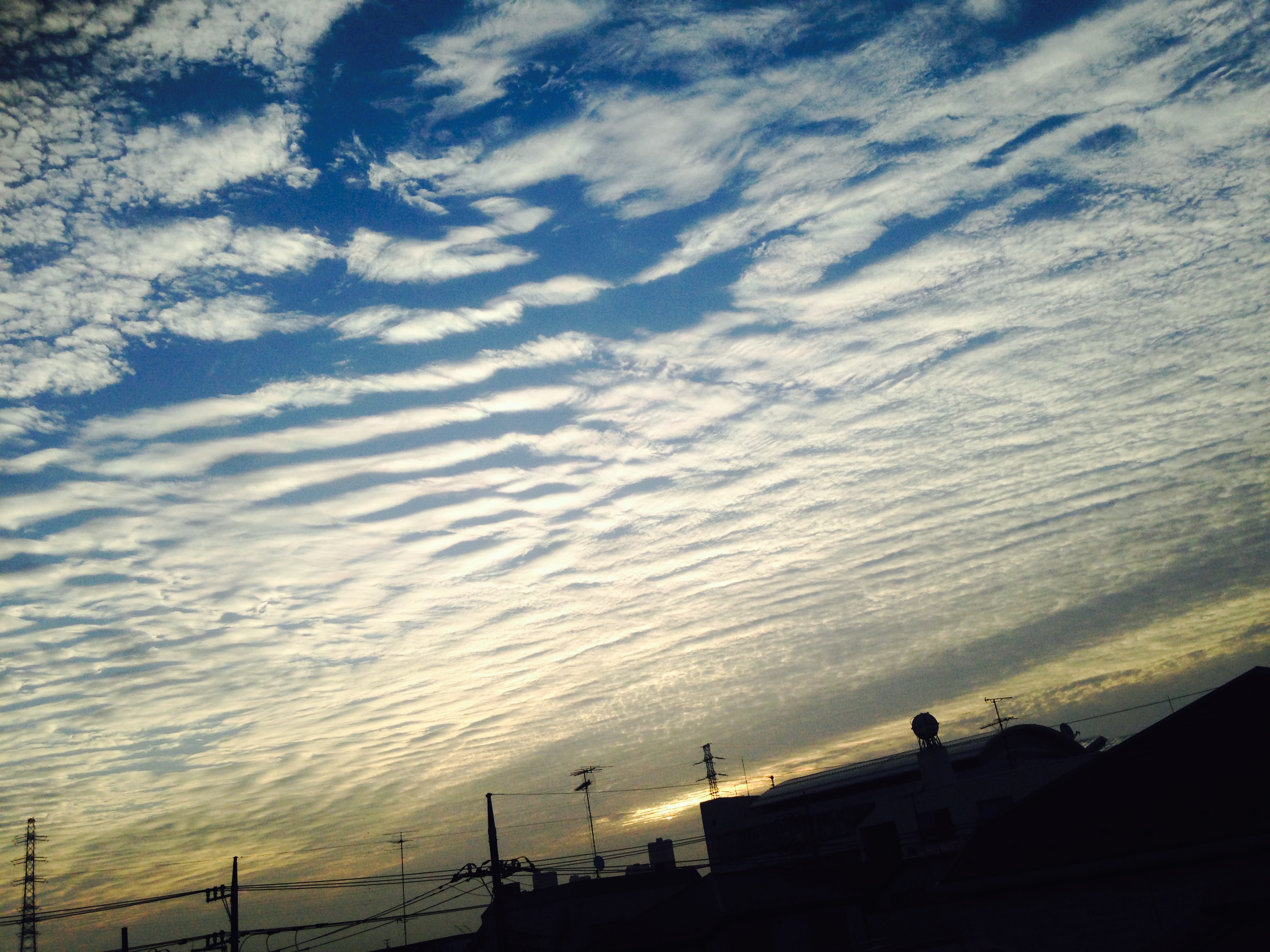 No.29509-1 地震雲