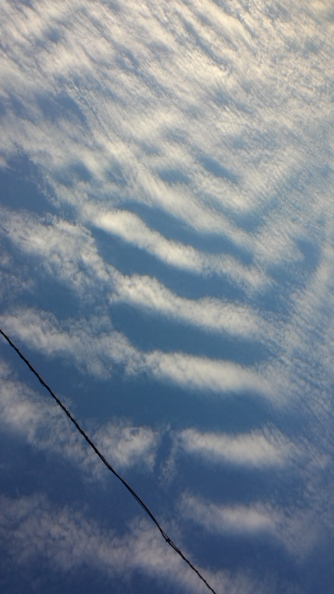 No.29510-1 地震雲