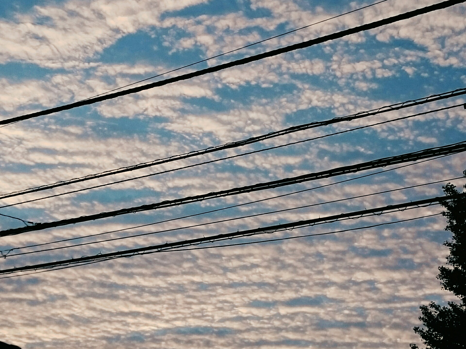 No.29520-1 地震雲