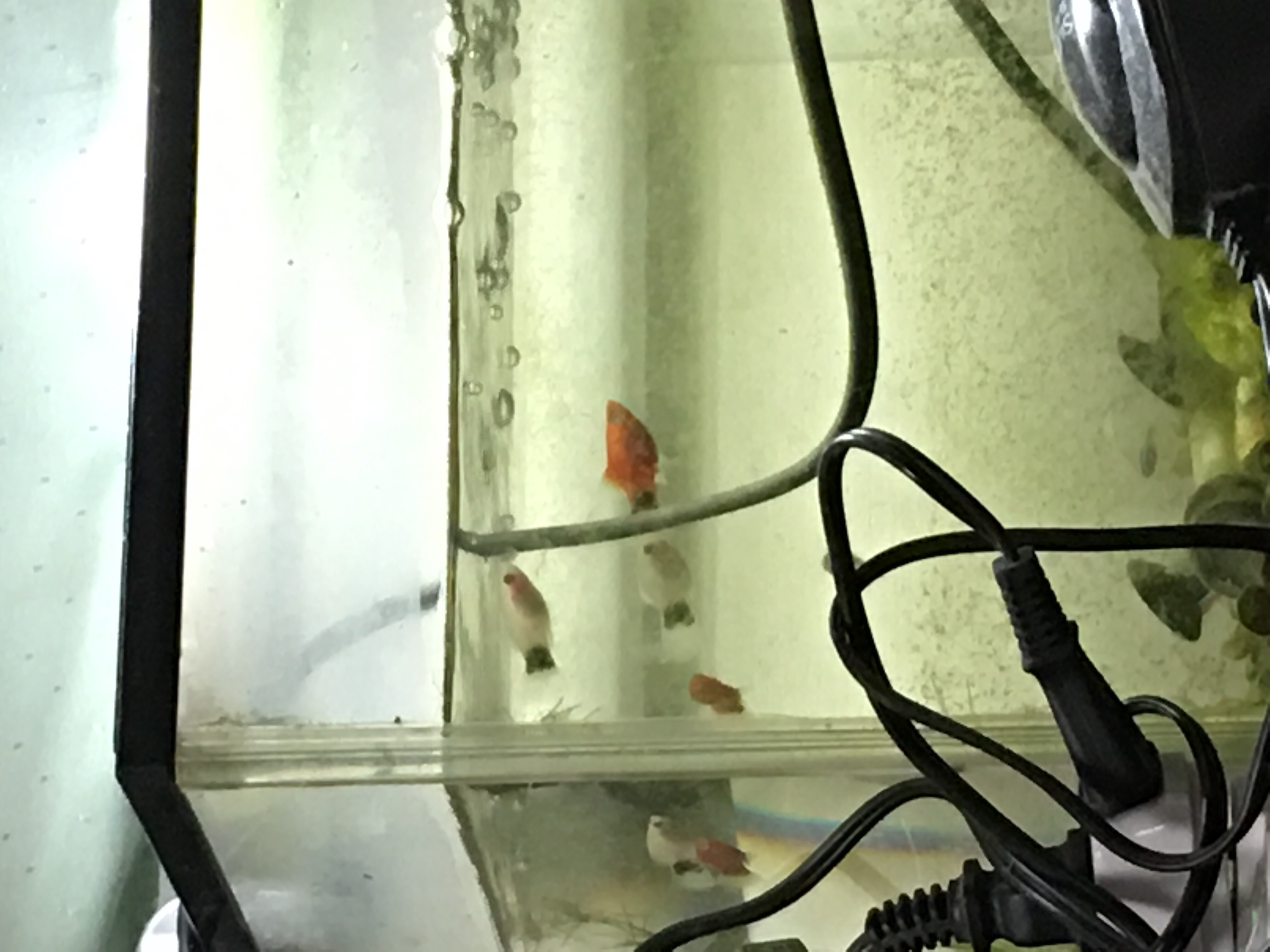 No.29552-1 地震雲