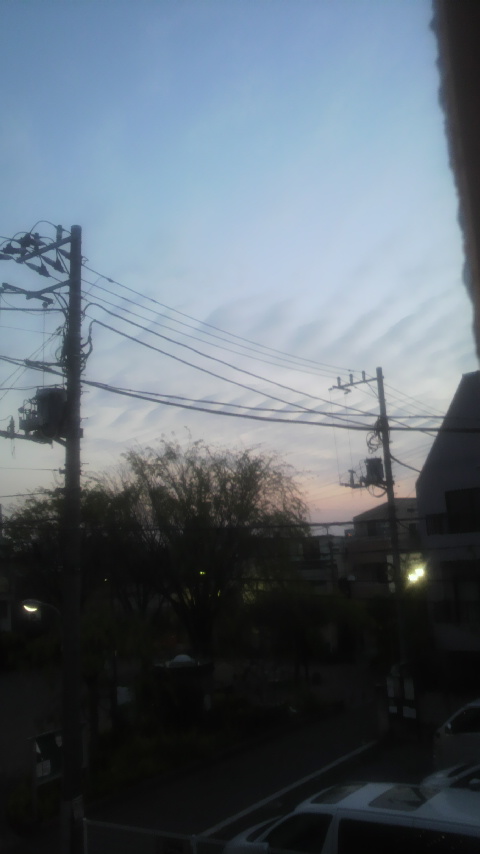 No.29555-1 地震雲