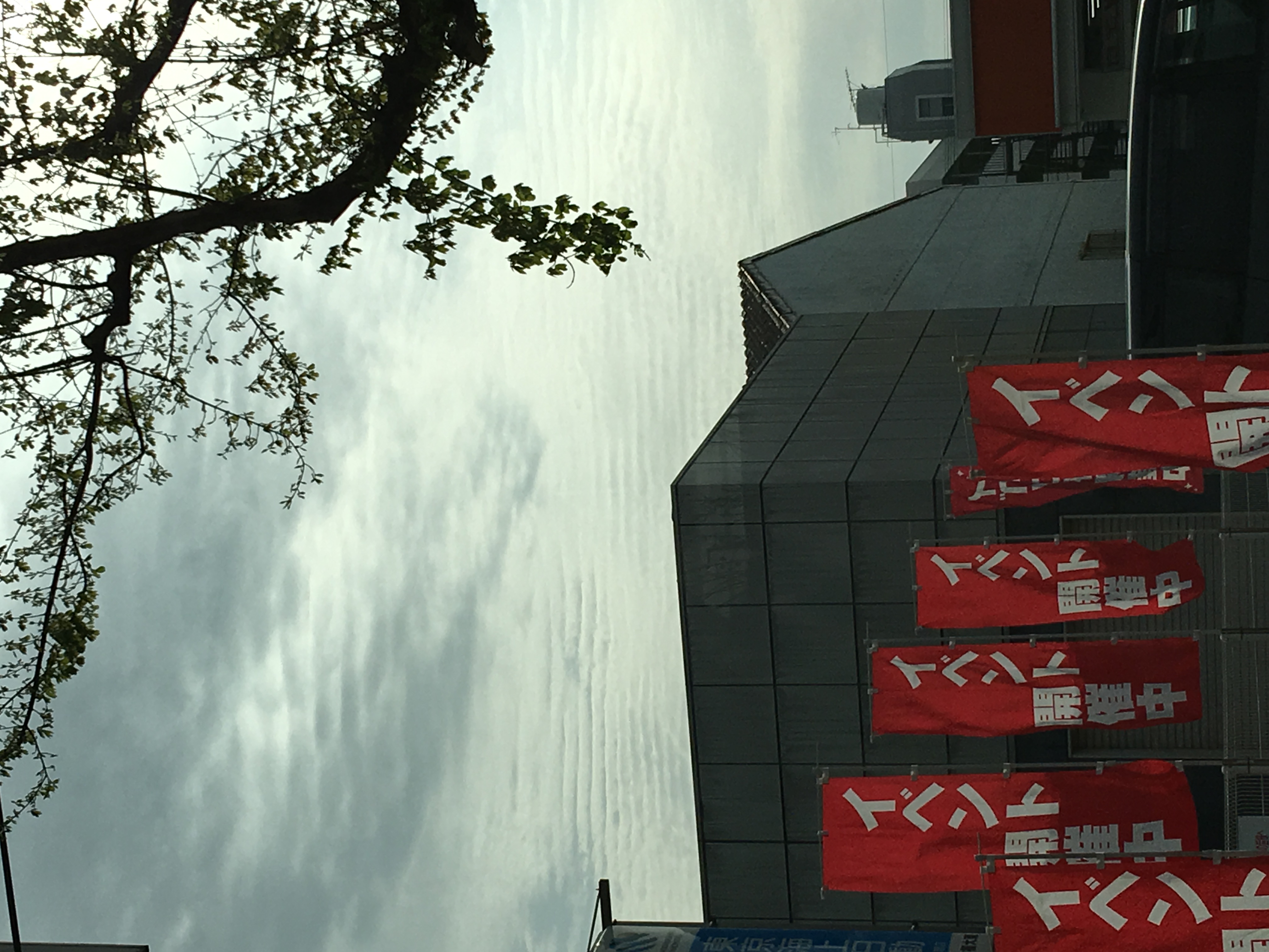 No.29598-1 地震雲