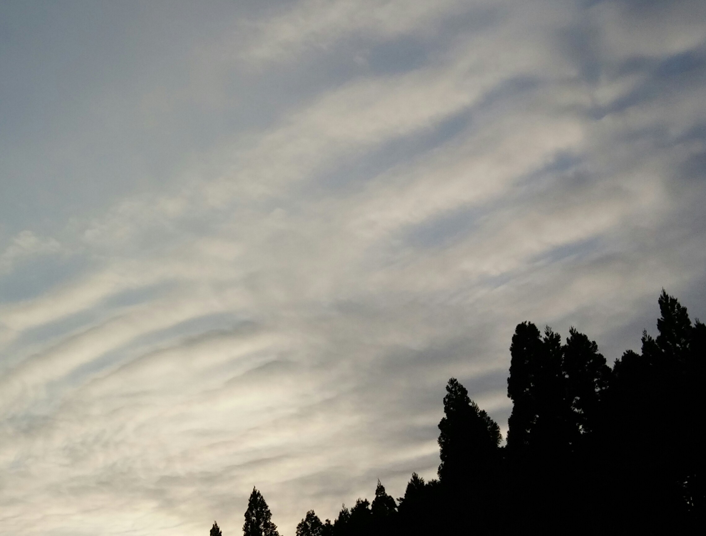 No.29611-1 地震雲