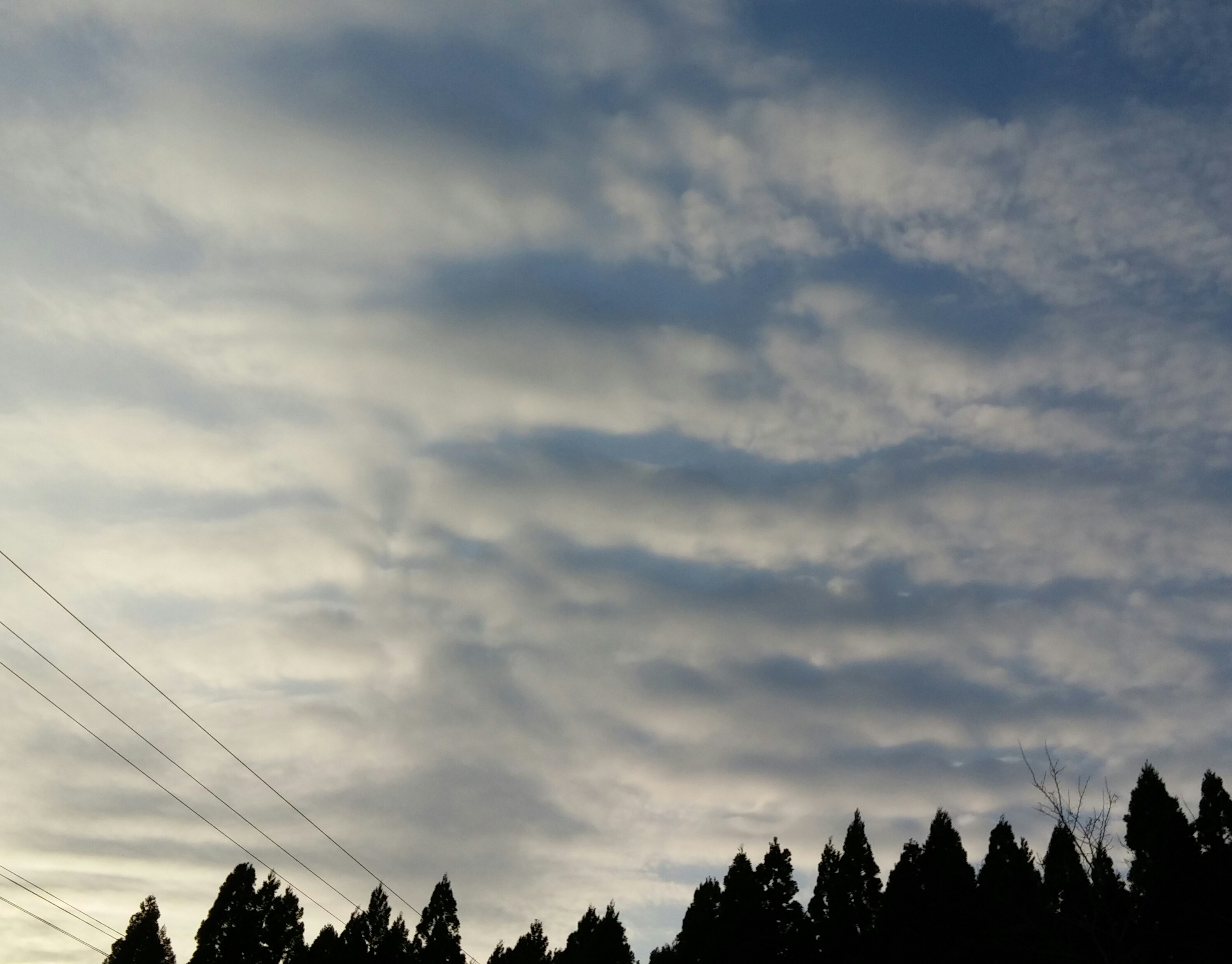 No.29612-1 地震雲