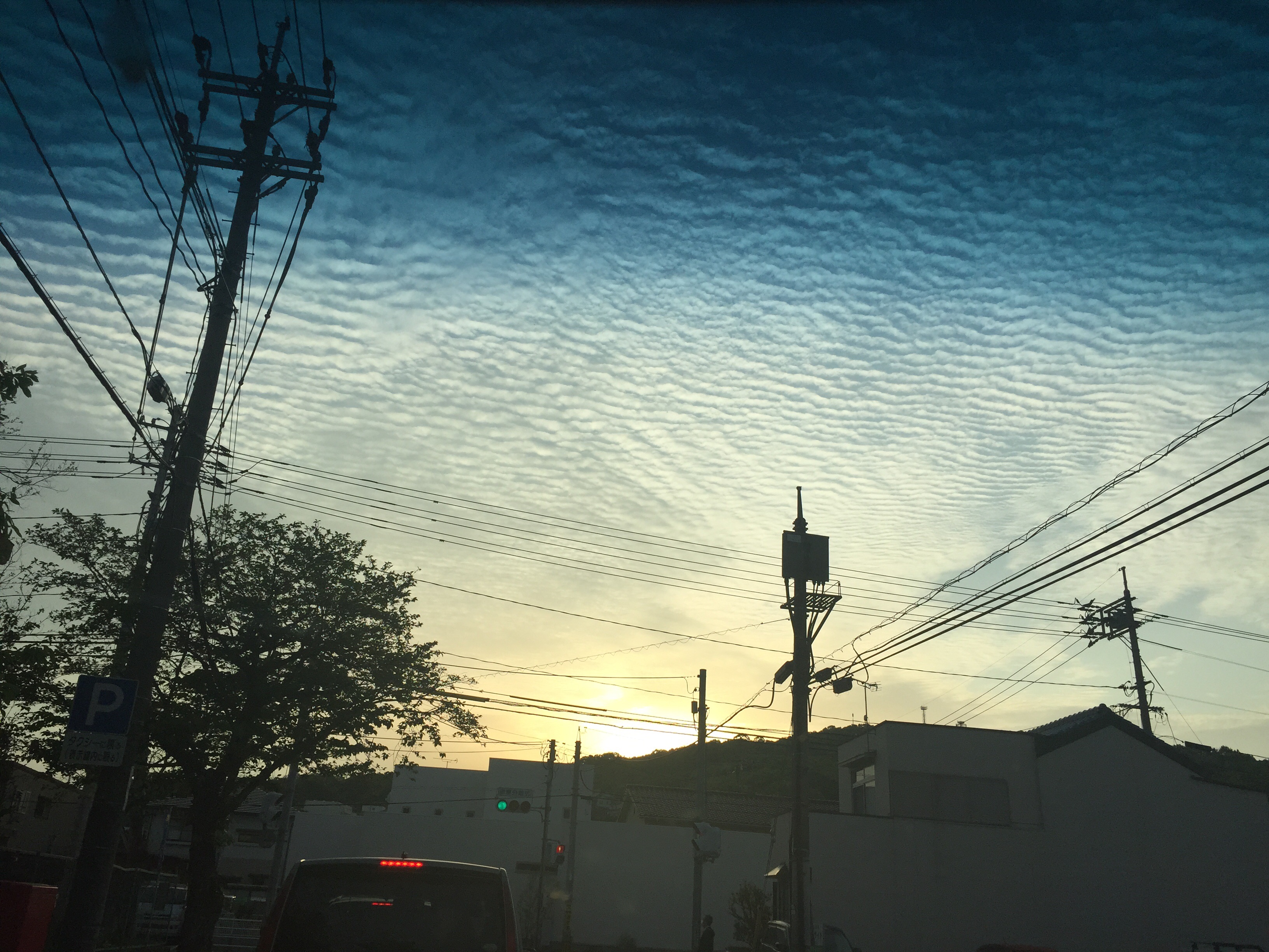 No.29628-1 地震雲