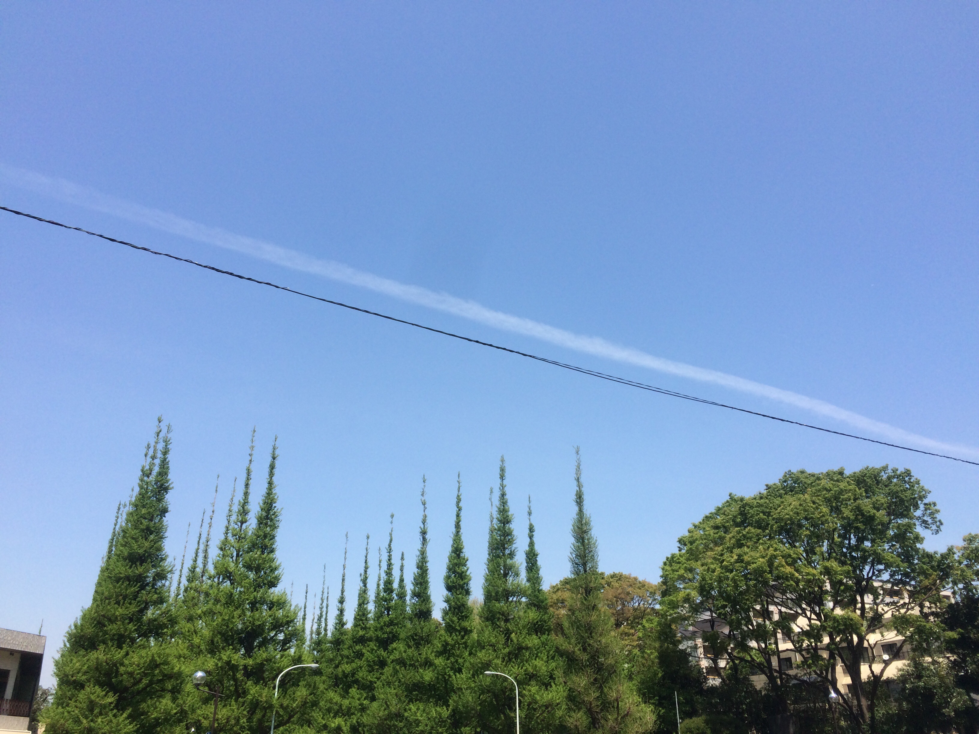 No.29635-1 地震雲