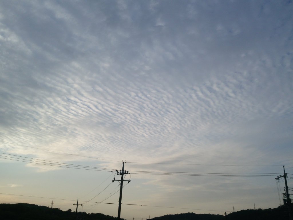 No.29636-1 地震雲