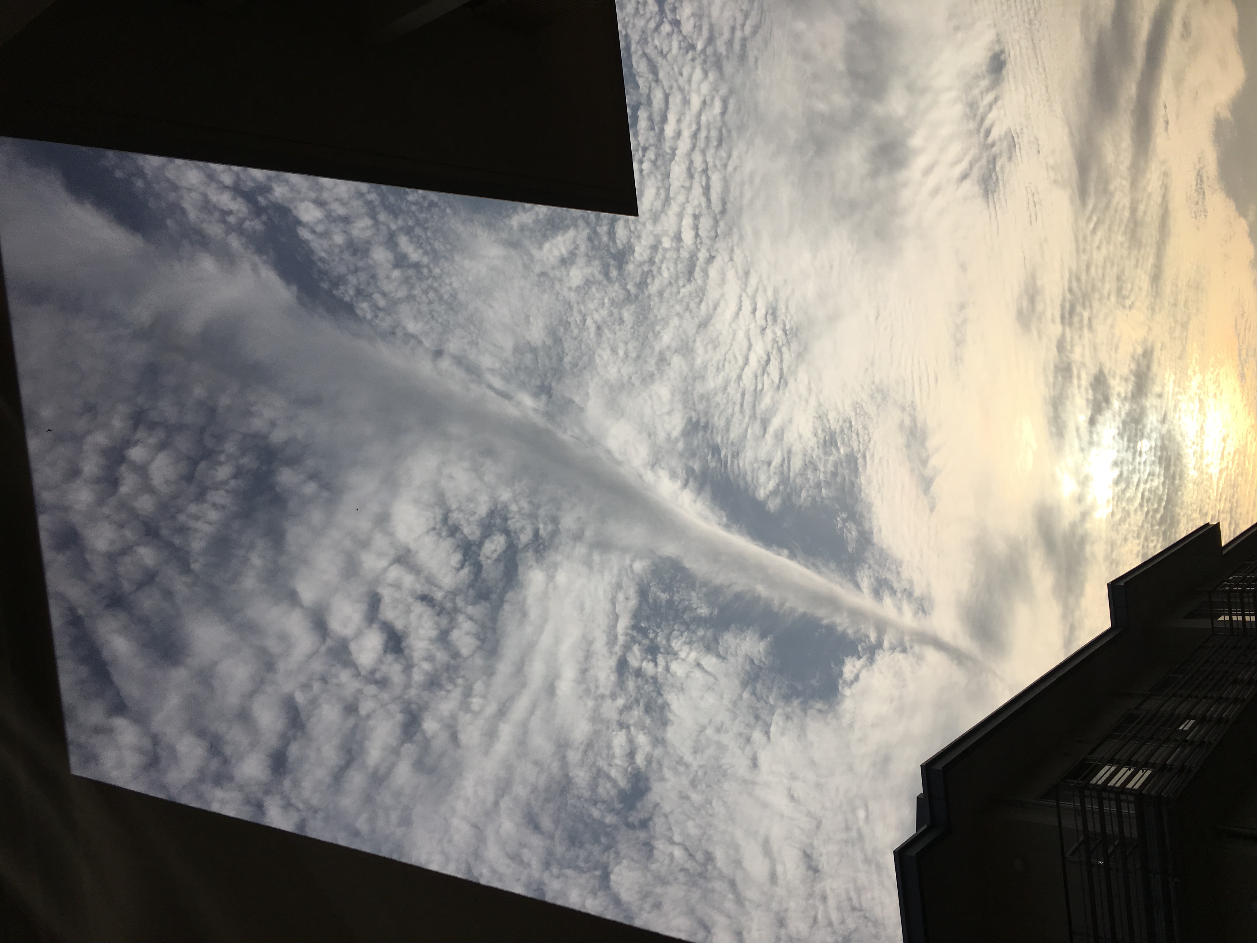 No.29645-1 地震雲