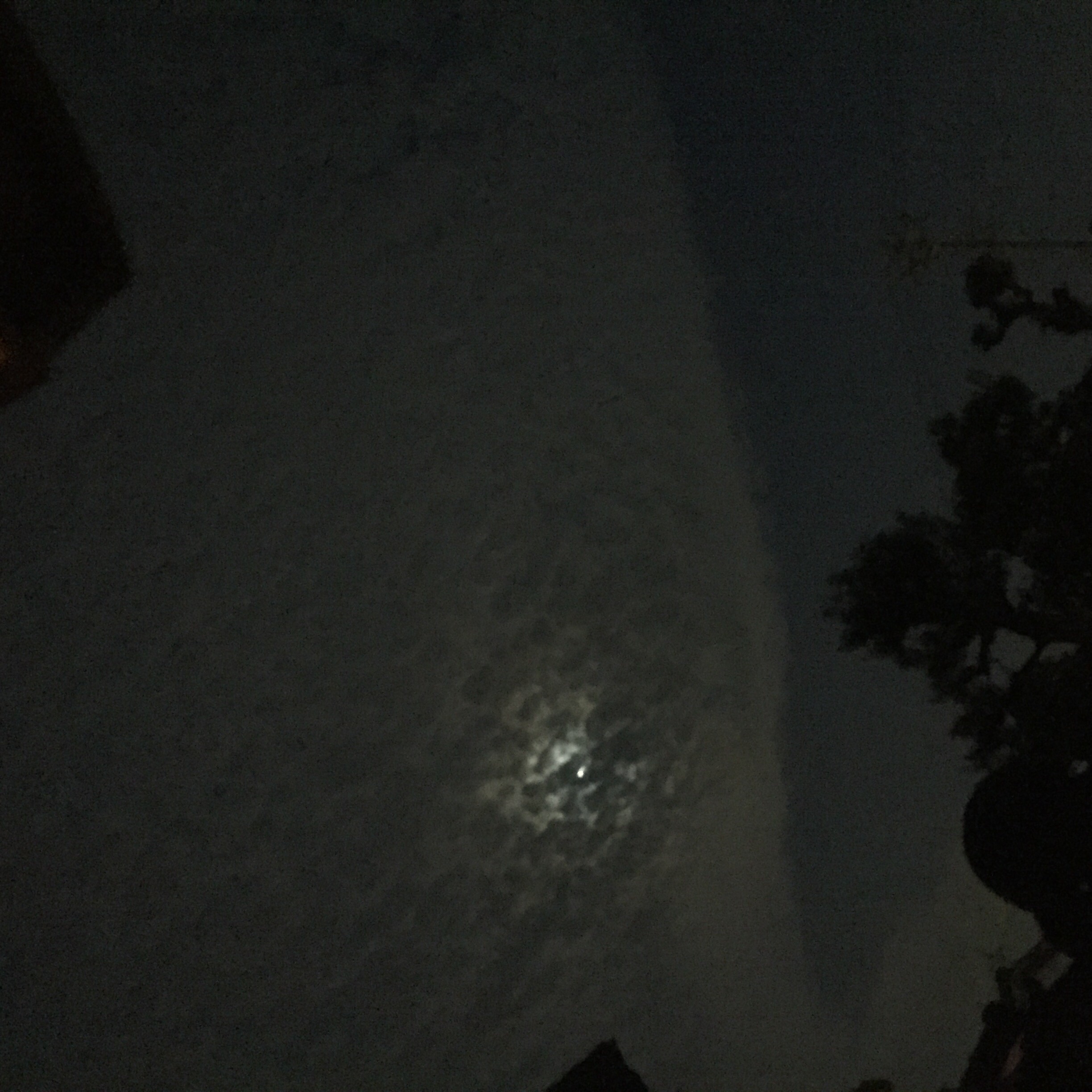 No.29646-1 地震雲