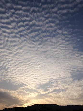 No.29649-1 地震雲