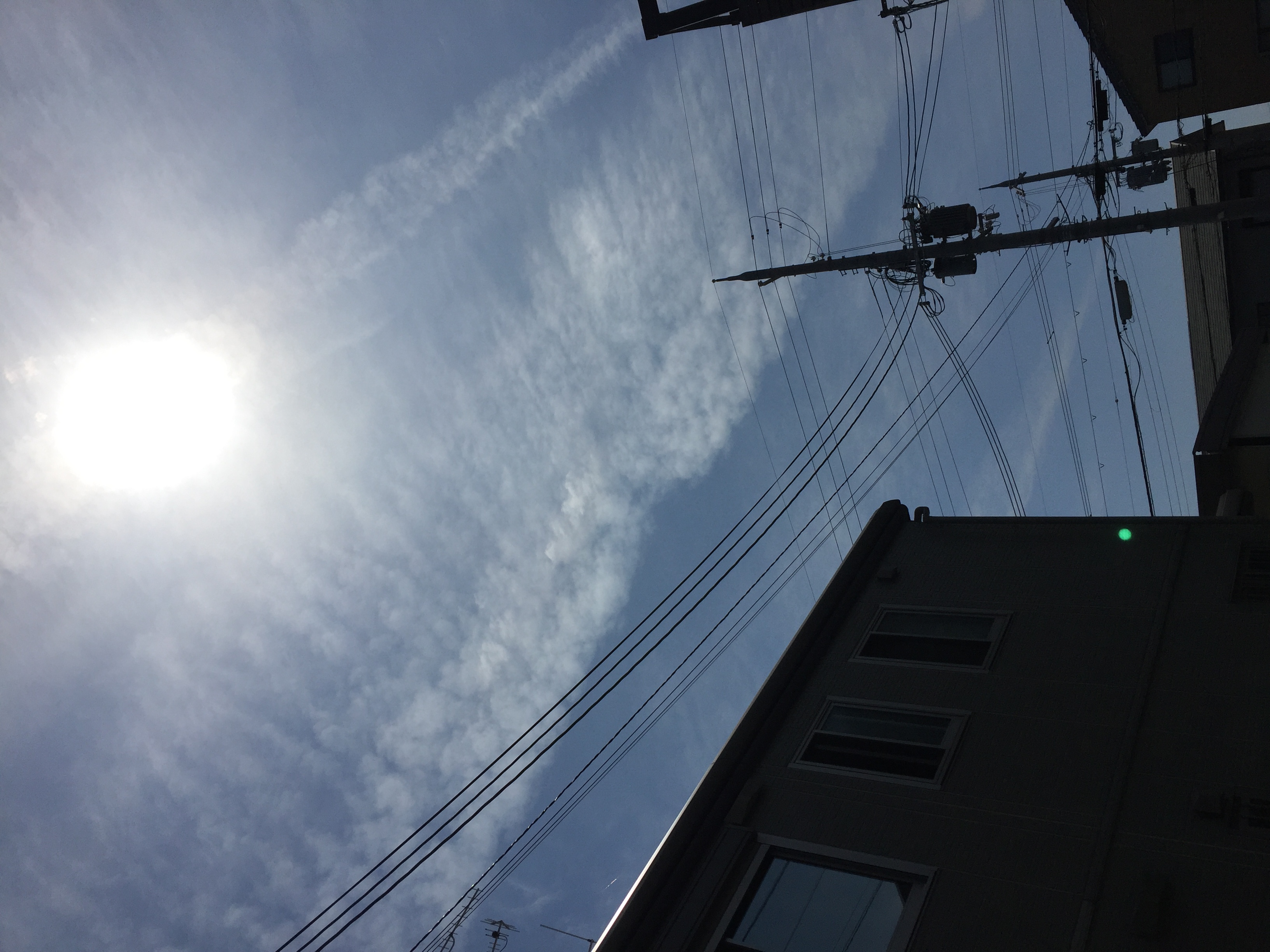 No.29650-1 地震雲