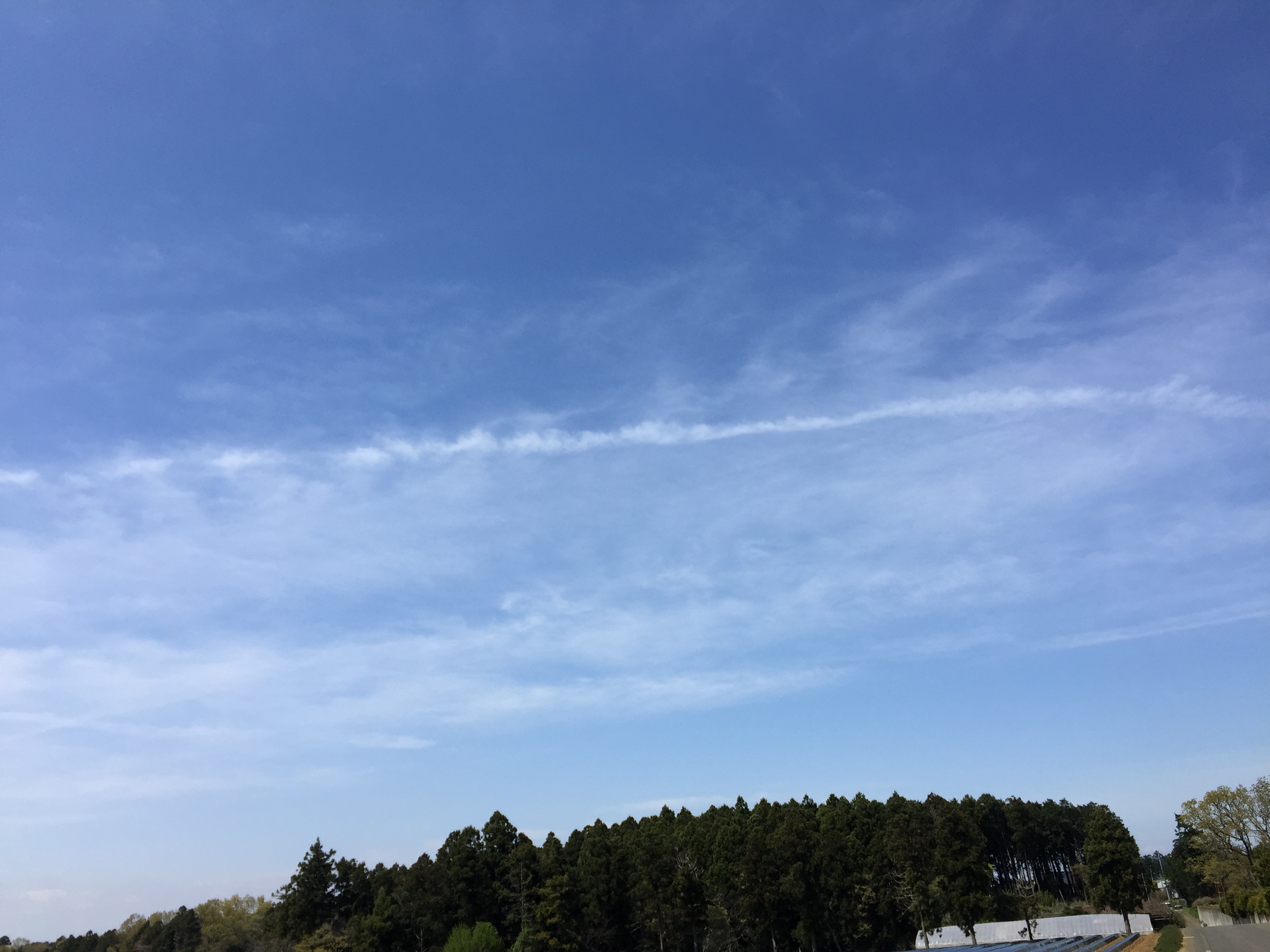 No.29657-1 地震雲