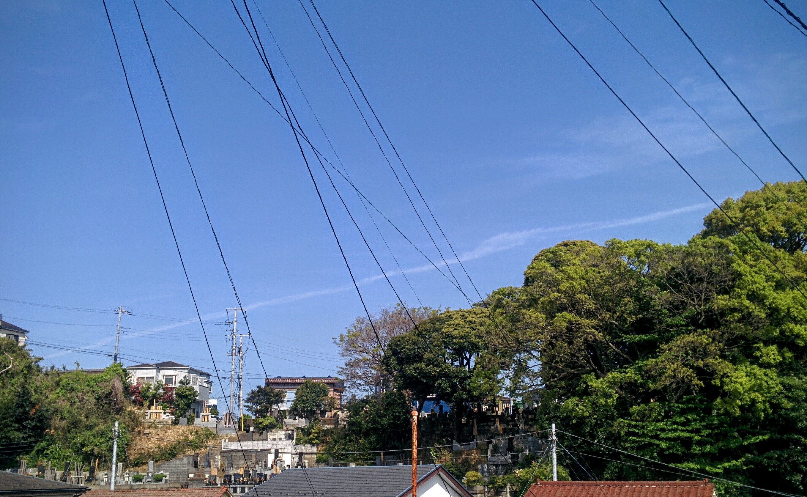 No.29723-1 地震雲