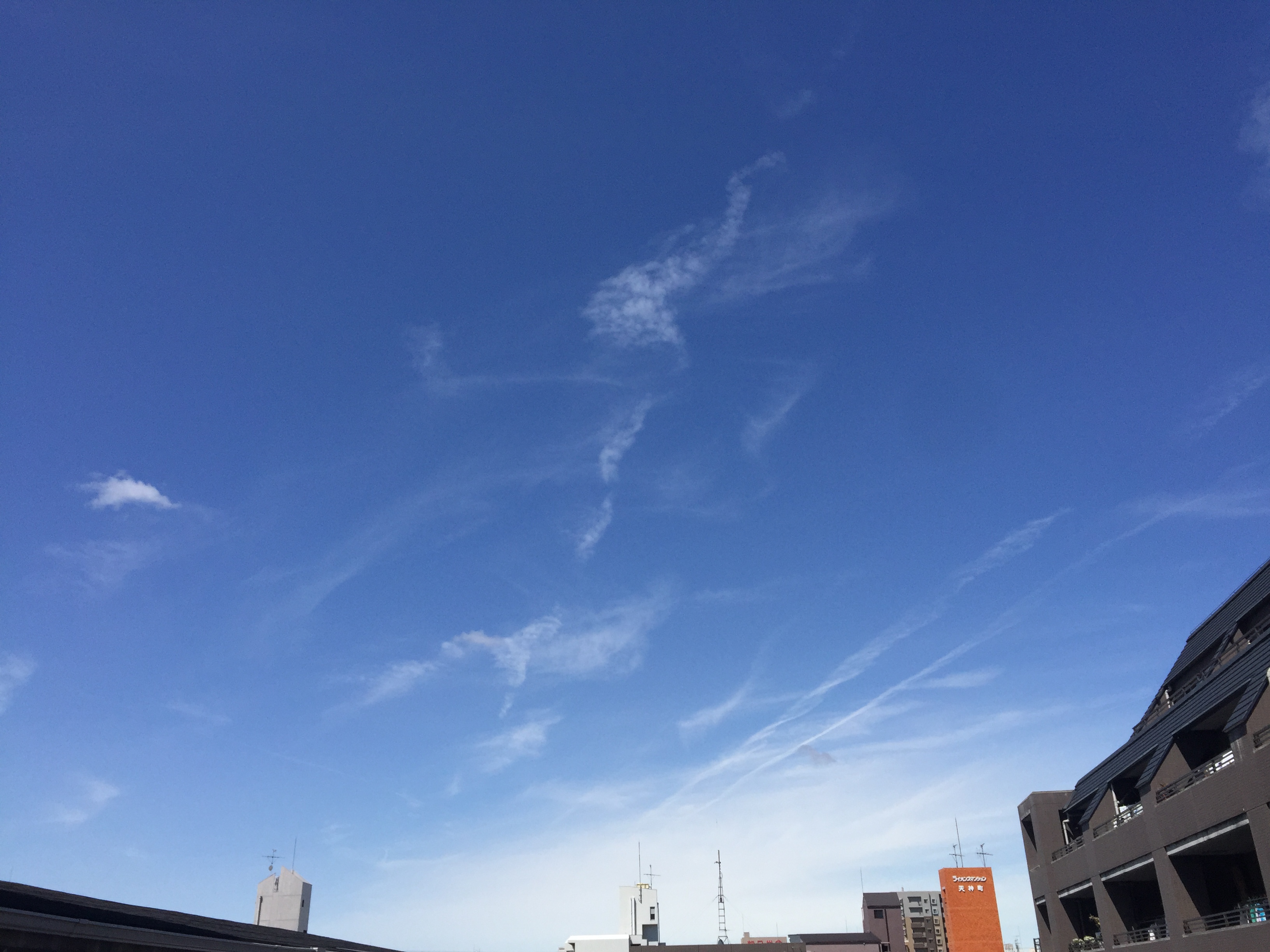 No.29733-1 地震雲