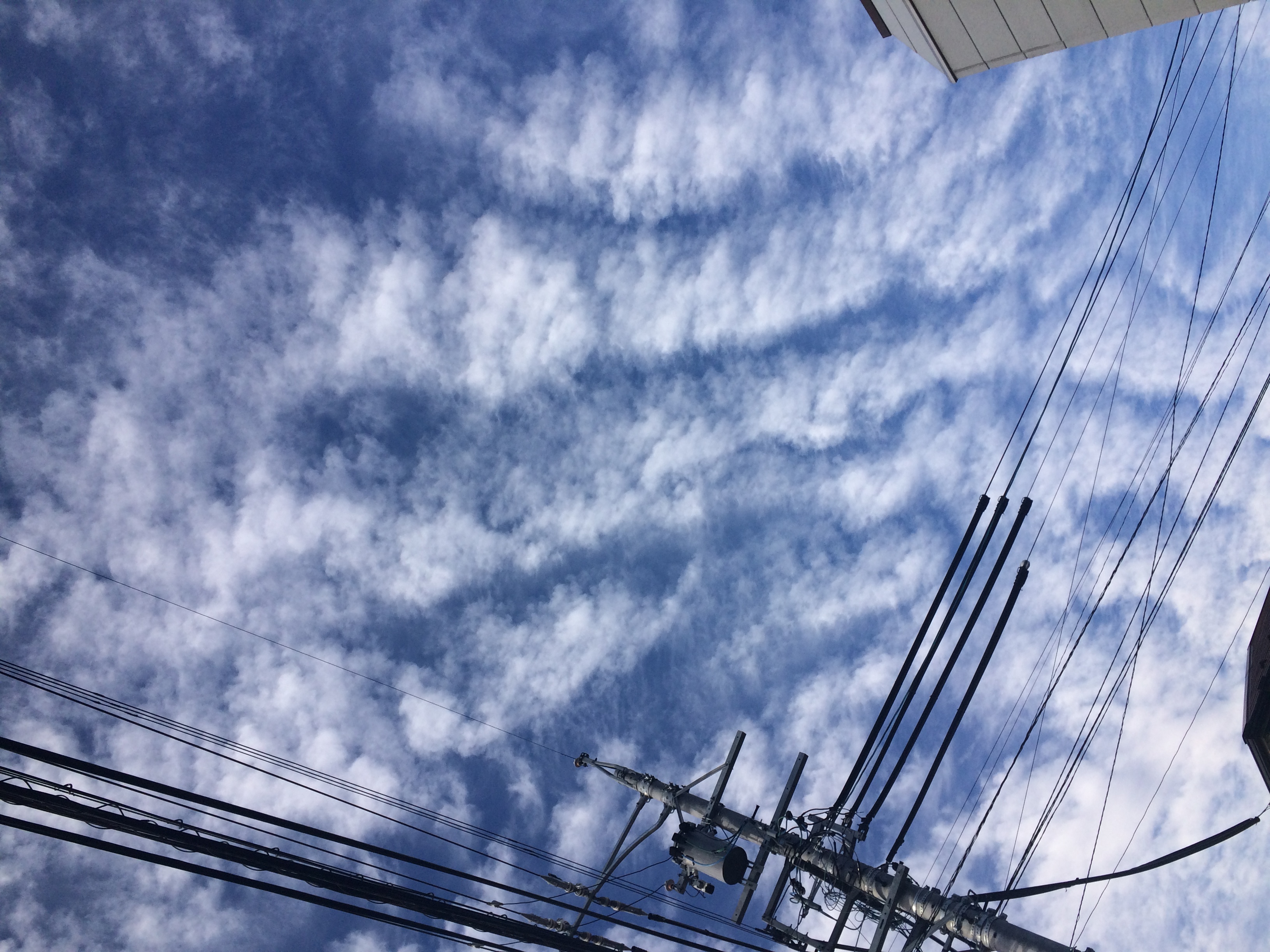 No.29801-1 地震雲