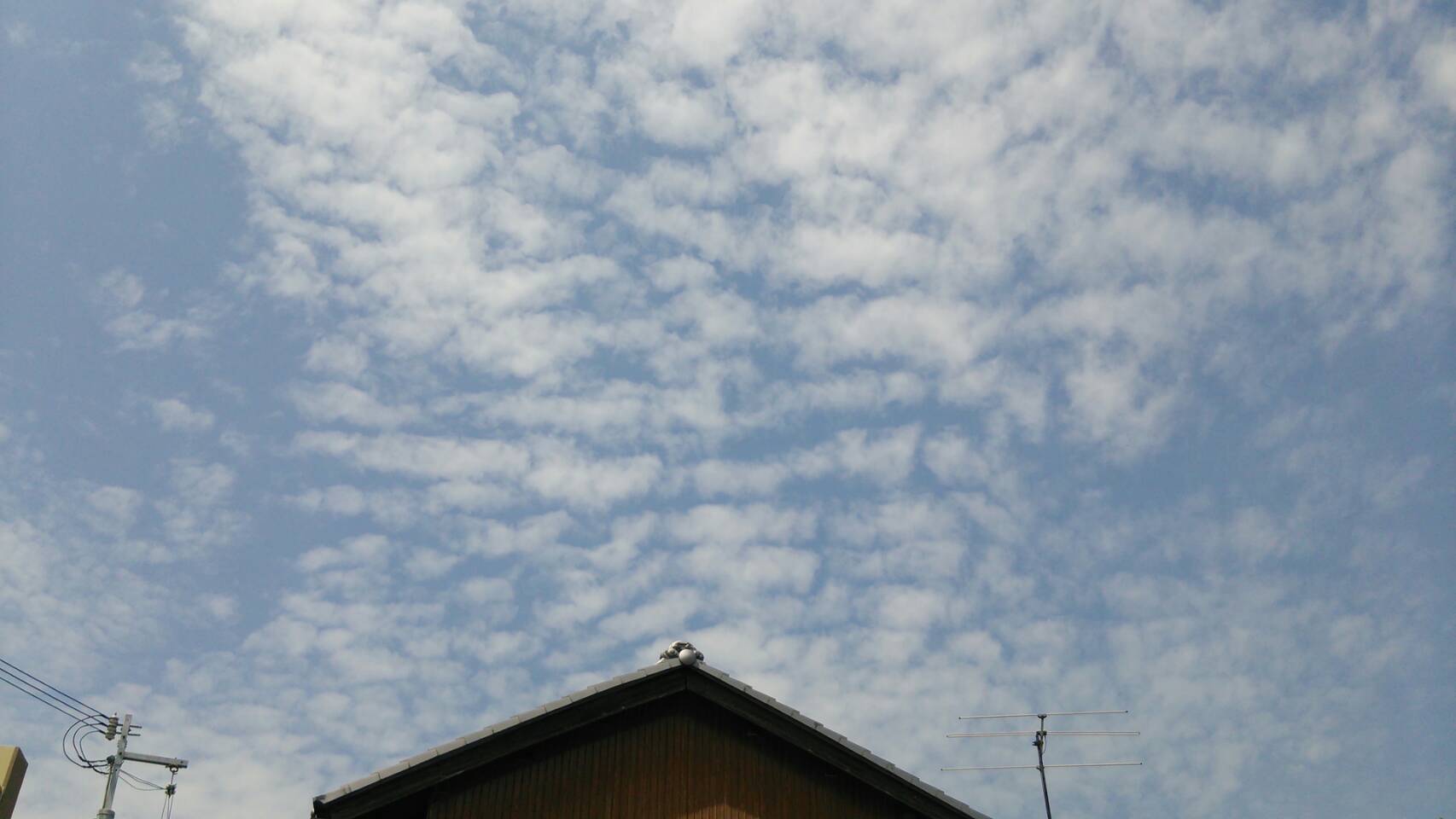 No.29897-1 地震雲