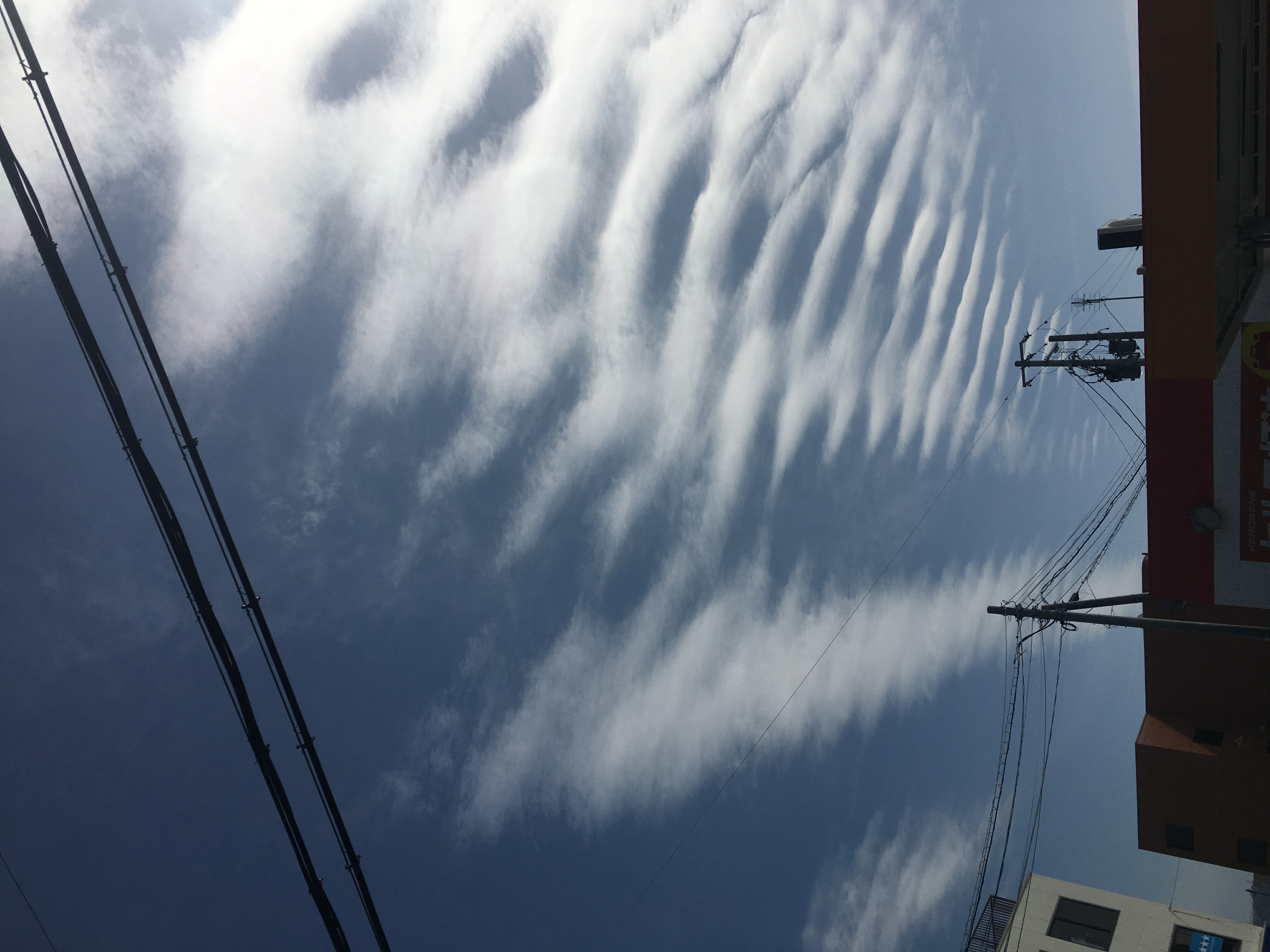 No.29961-1 地震雲