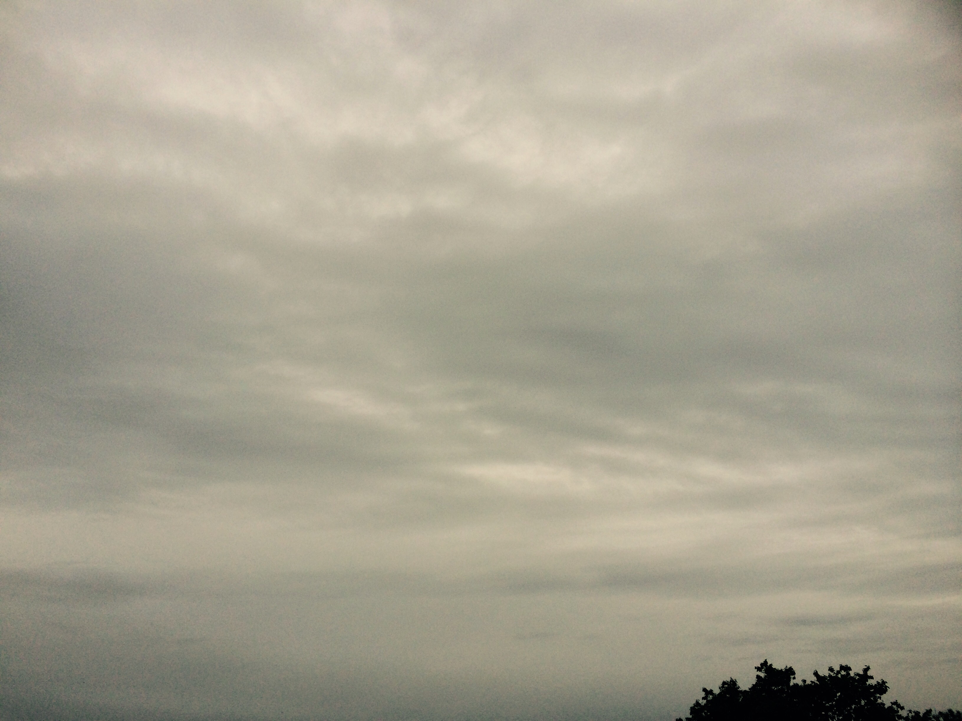 No.29977-1 地震雲