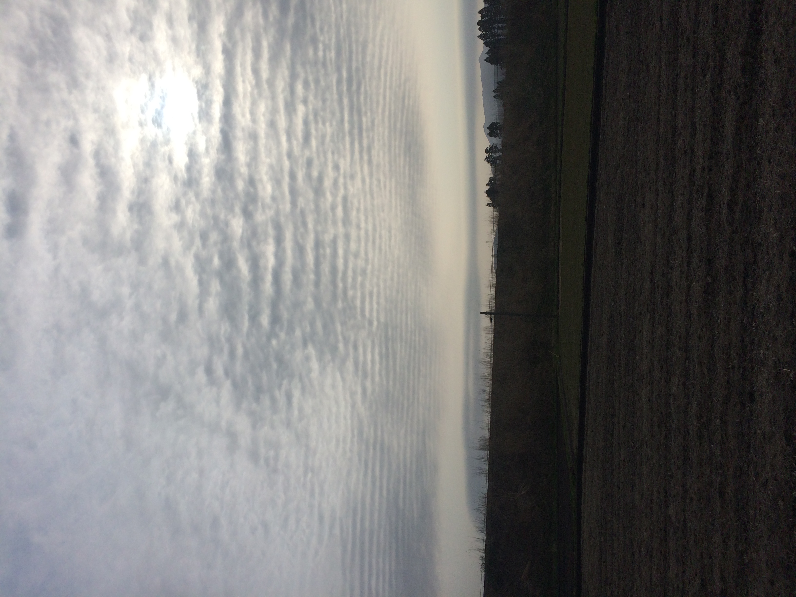 No.30050-1 地震雲