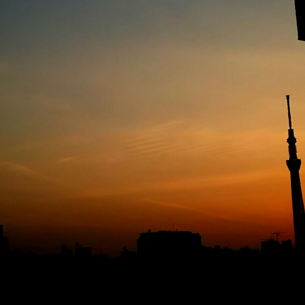 No.30463-1 地震雲