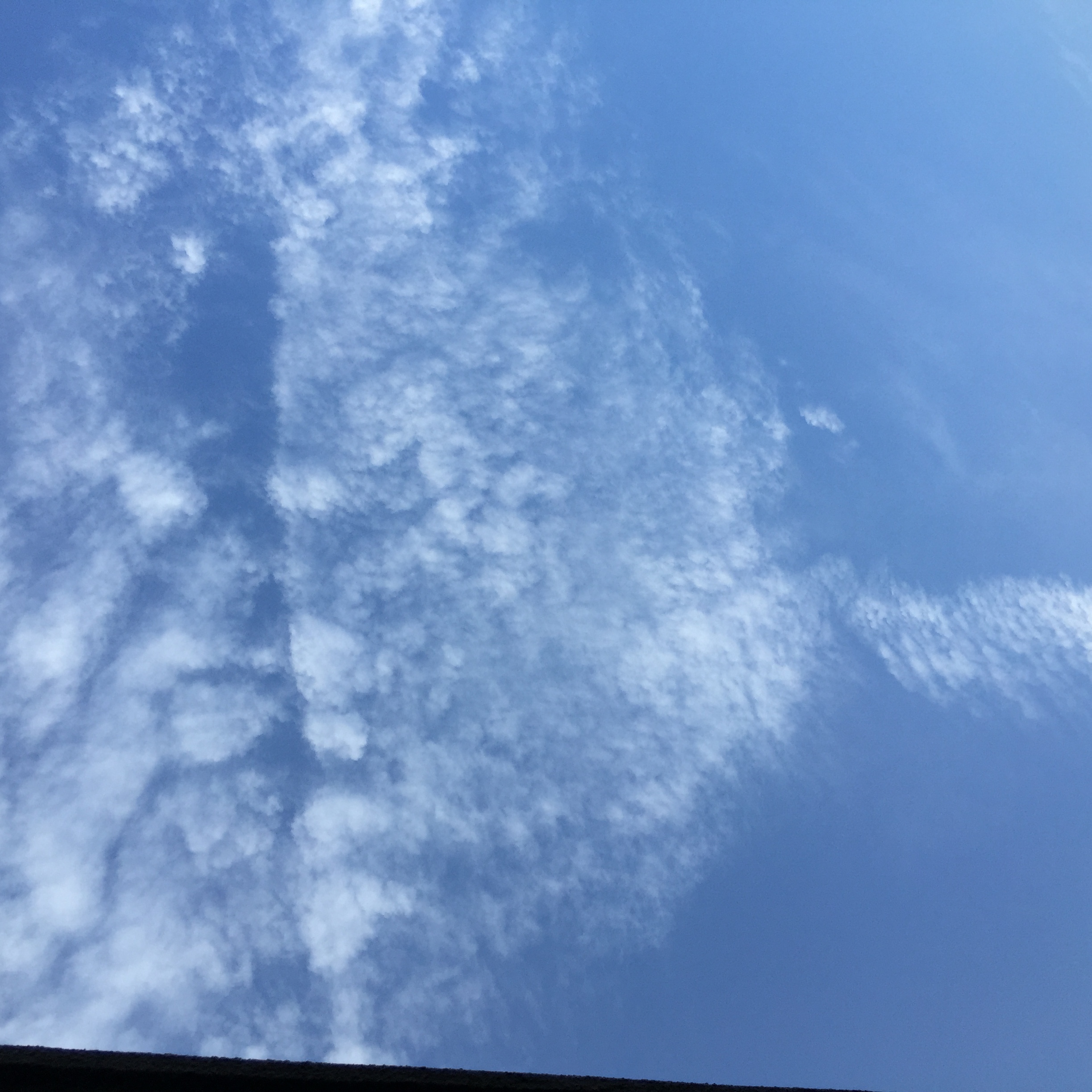 No.30558-1 地震雲