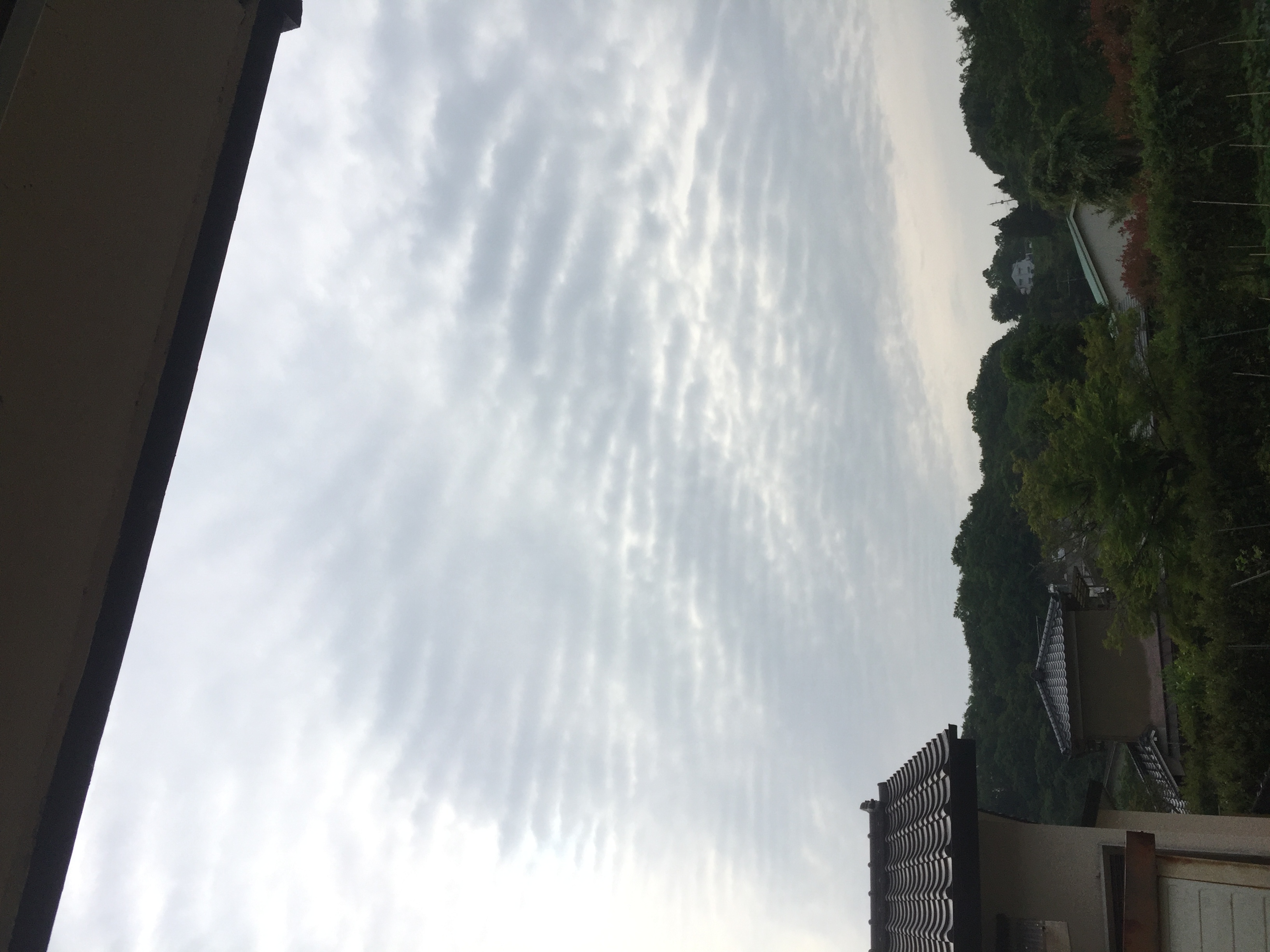 No.30639-1 地震雲