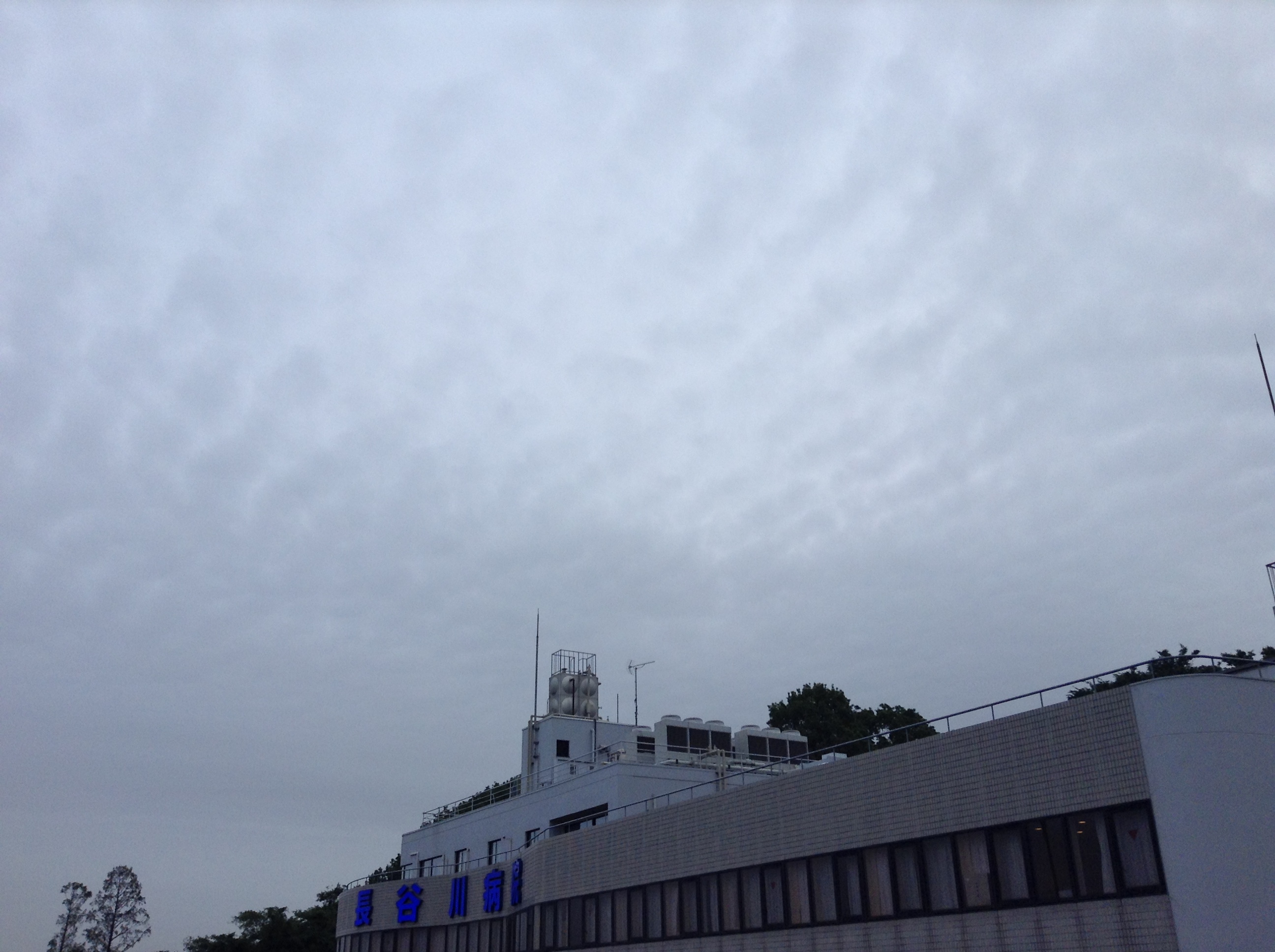 No.30674-1 地震雲