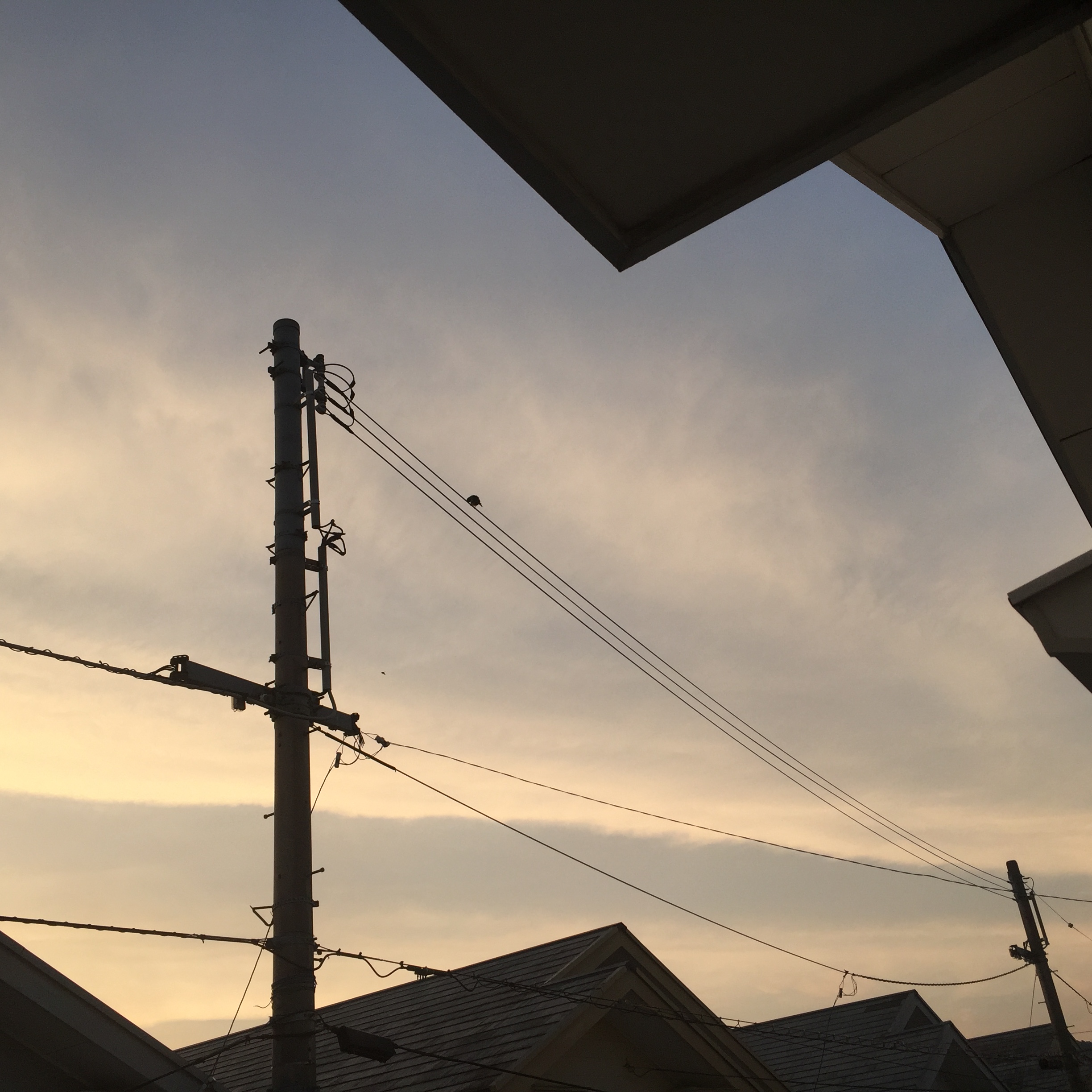 No.30765-1 地震雲