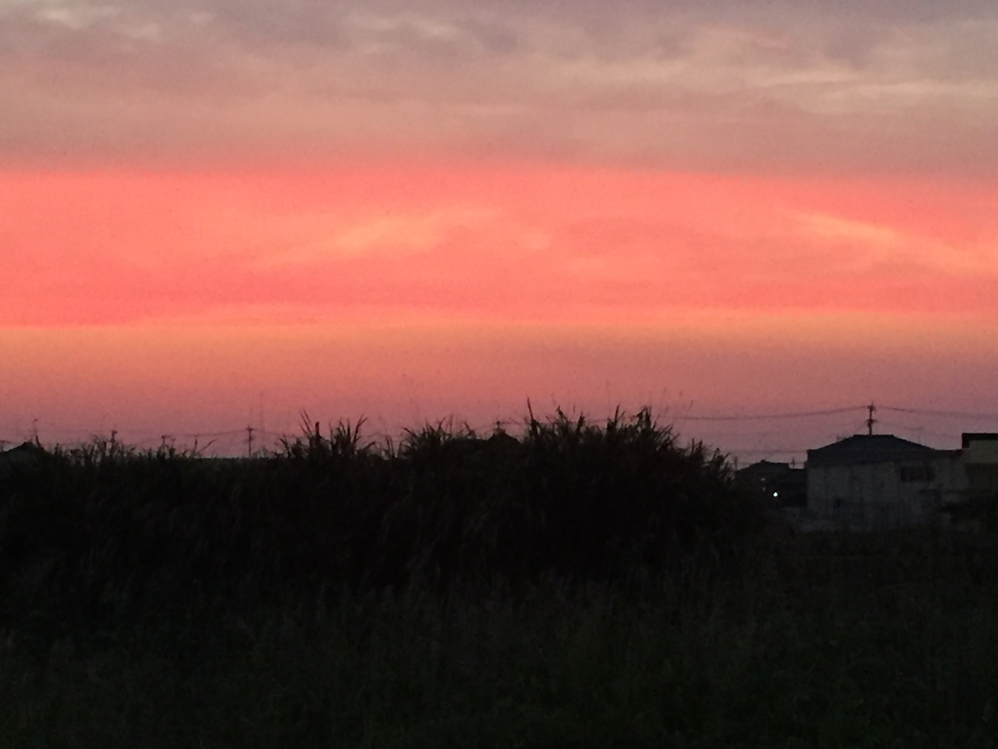 No.30952-1 地震雲