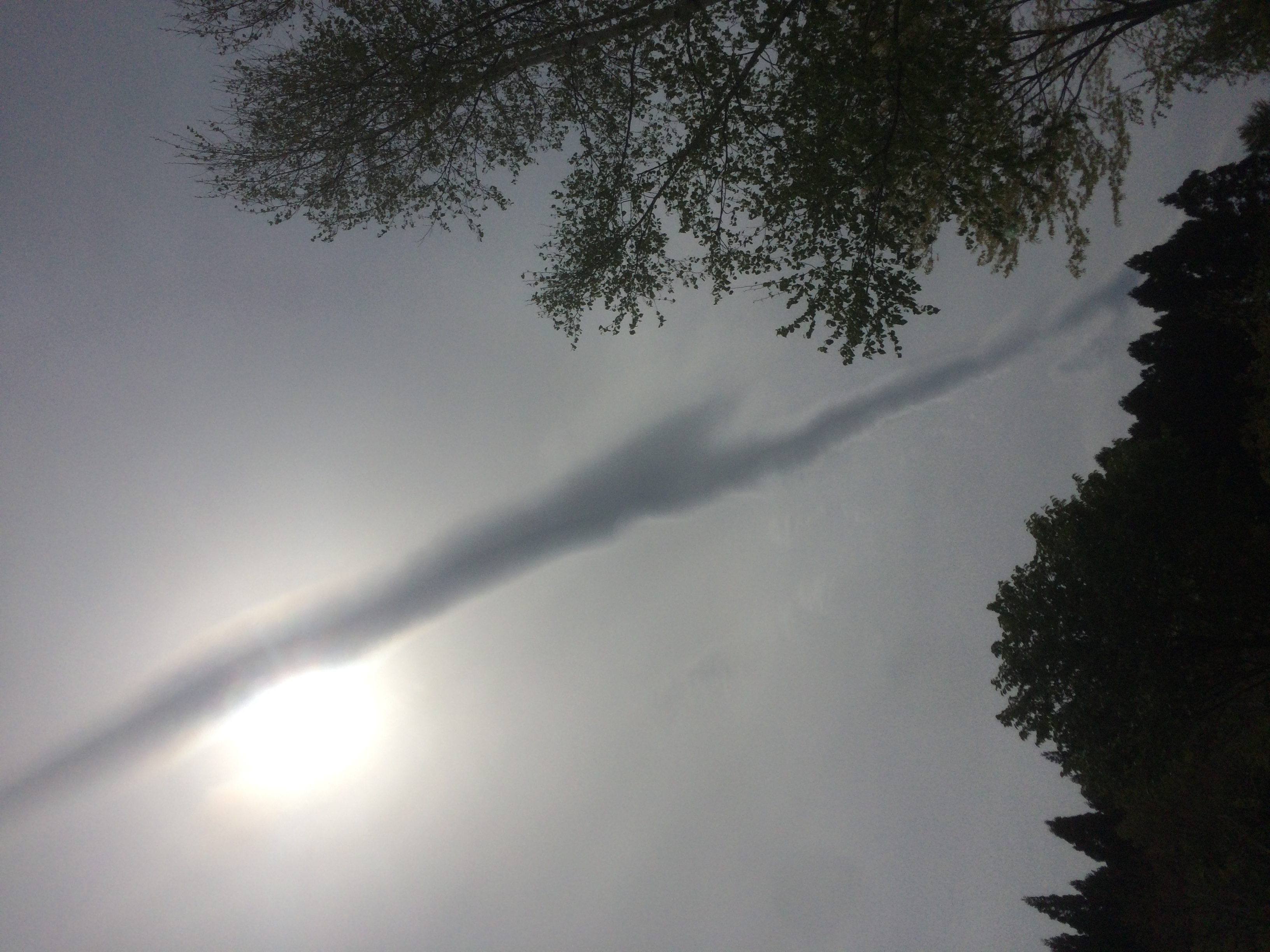 No.31039-1 地震雲