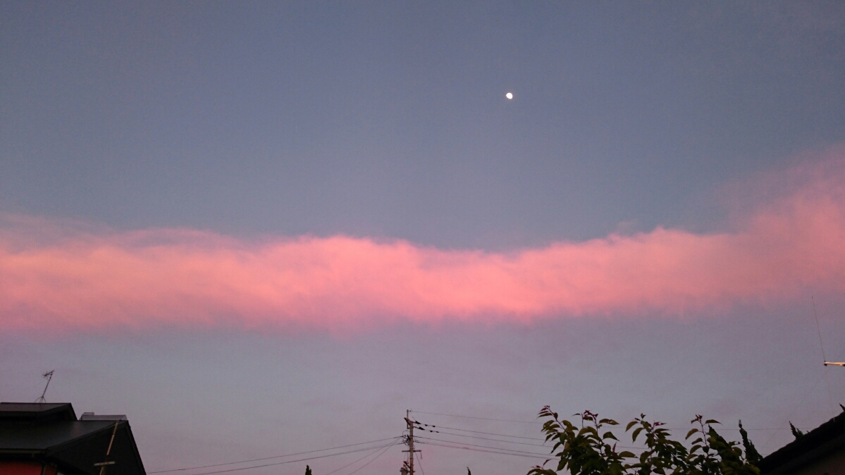 No.31081-1 地震雲