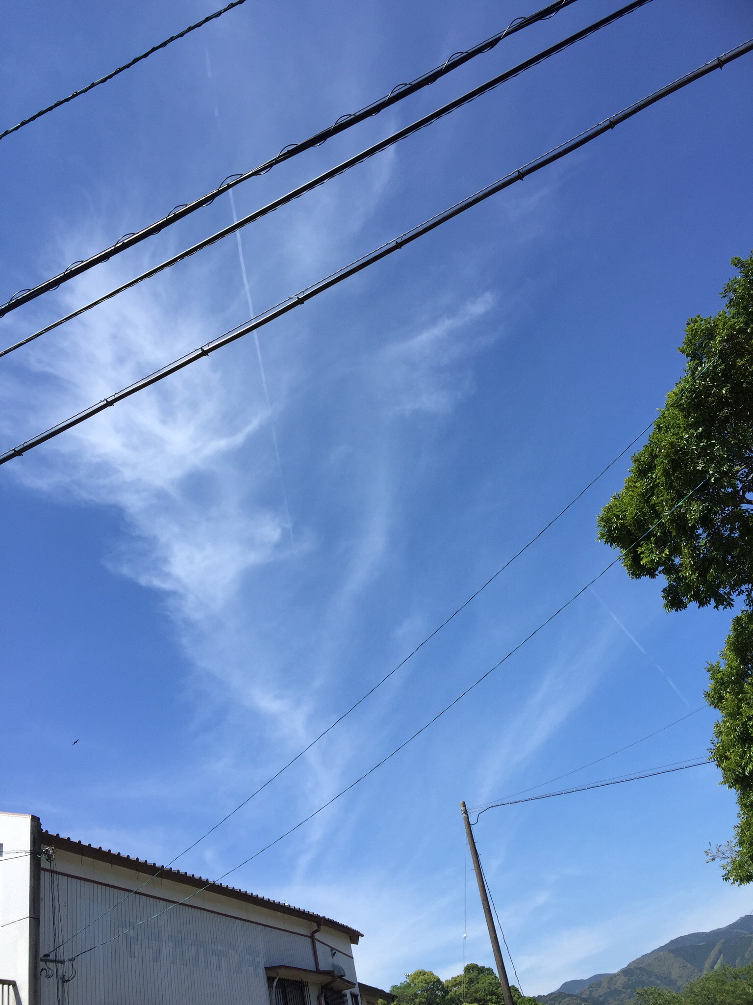 No.31084-1 地震雲