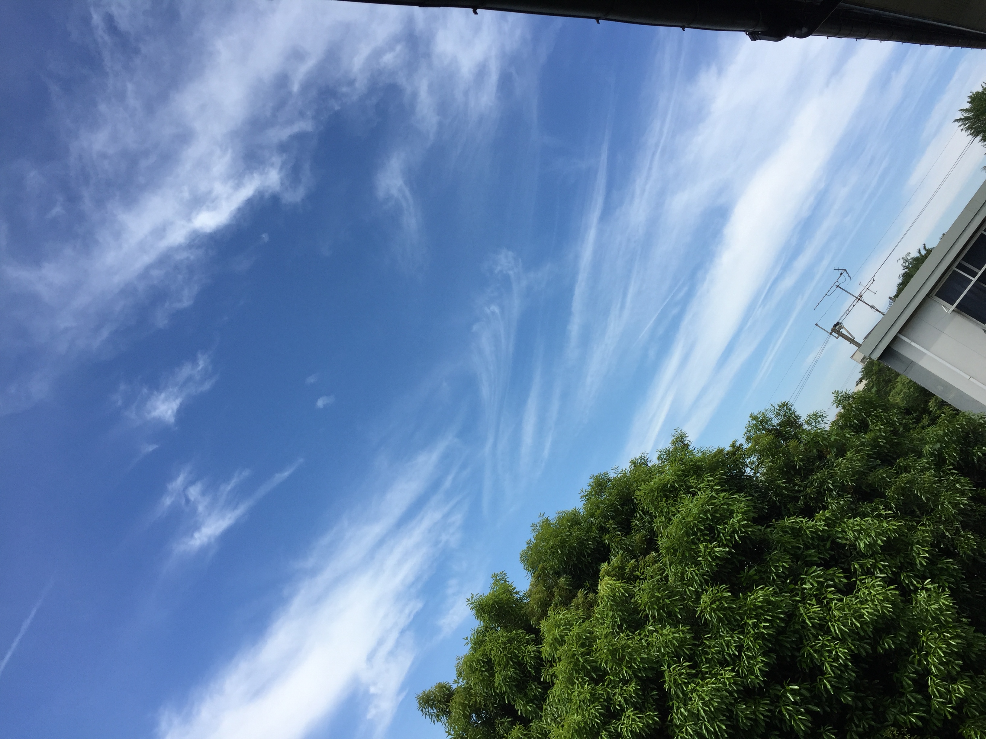 No.31098-1 地震雲