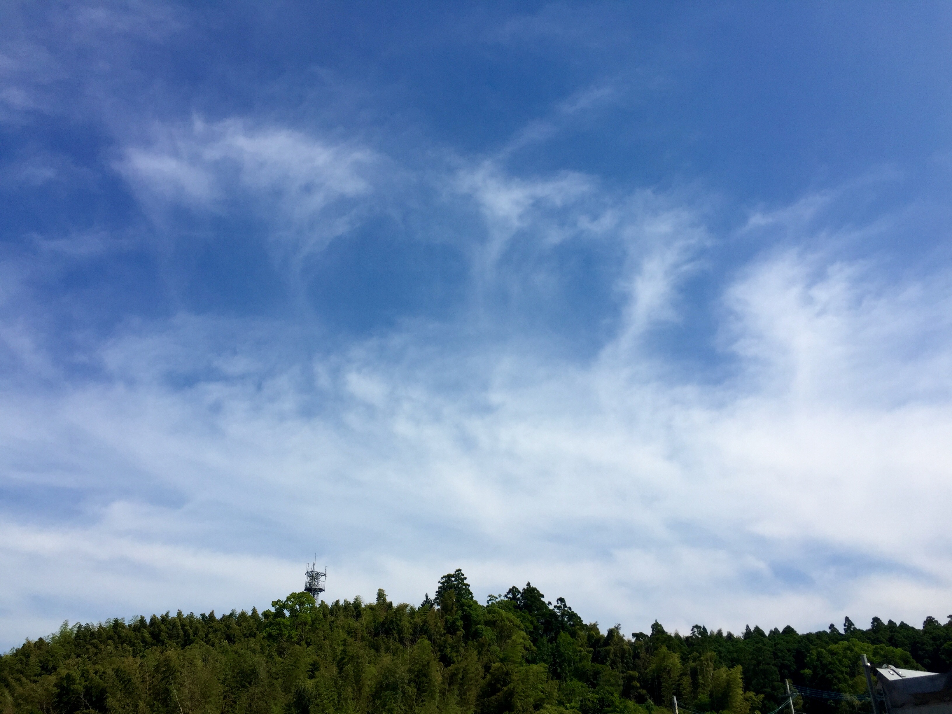 No.31108-1 地震雲