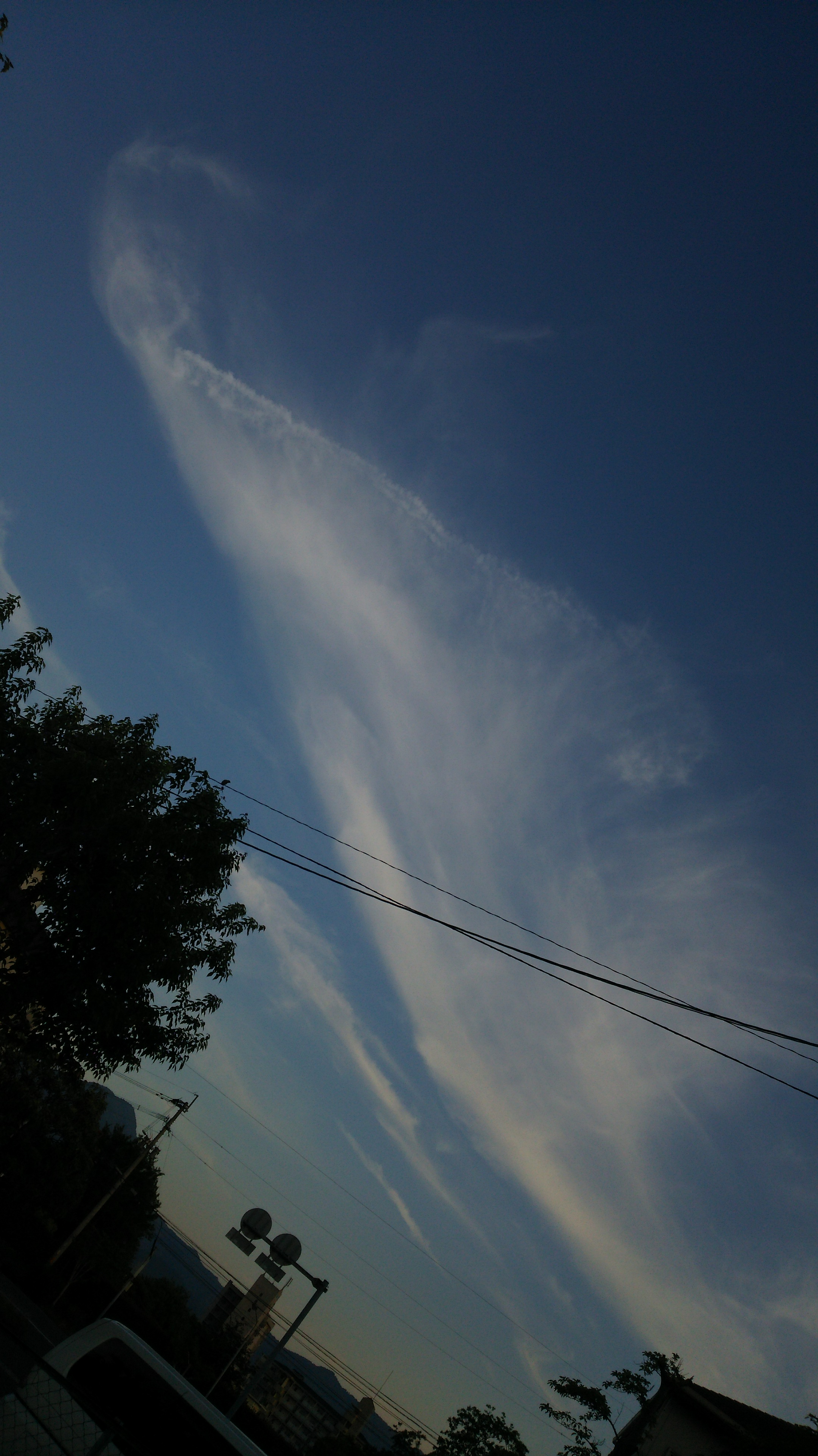 No.31159-1 地震雲