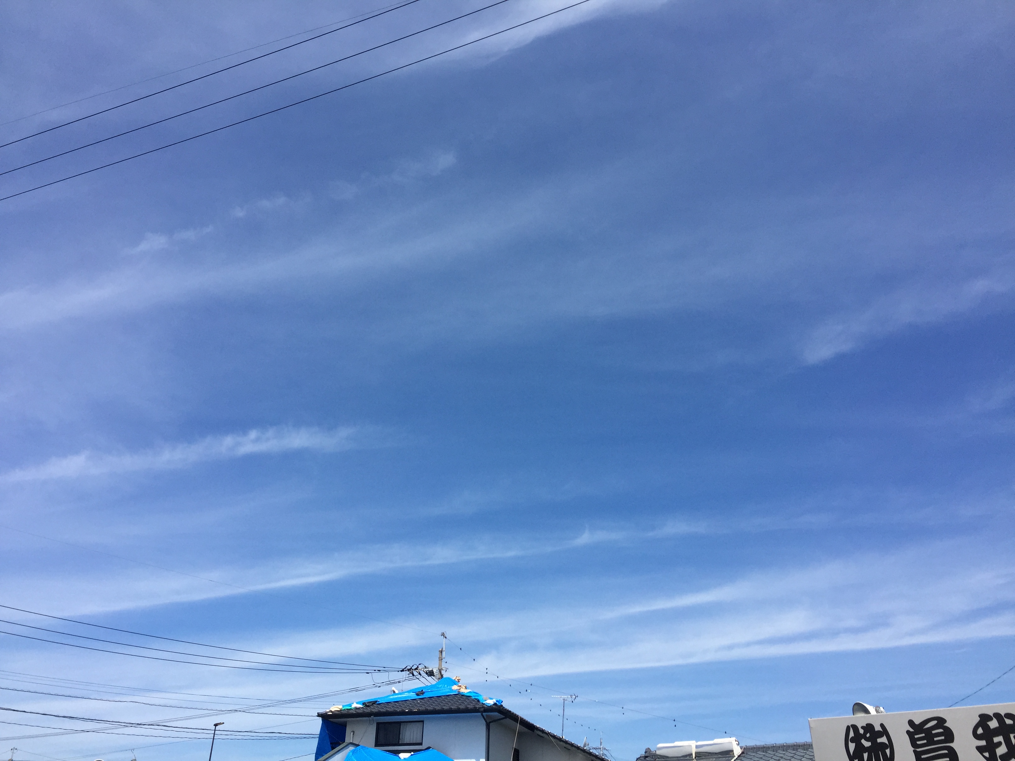 No.31201-1 地震雲