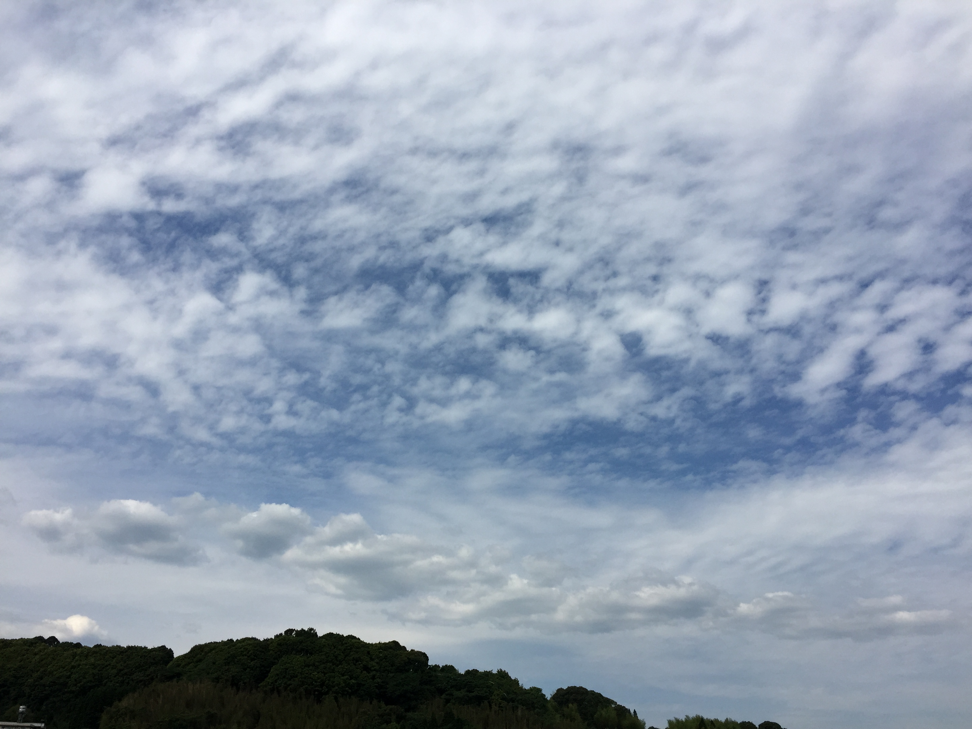 No.31279-1 地震雲